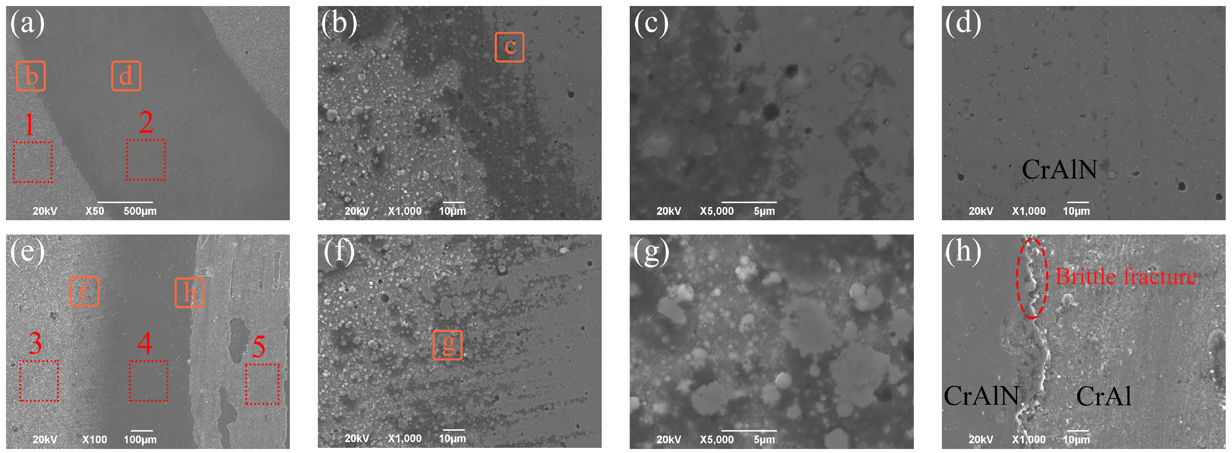 Crystals 14 00509 g007