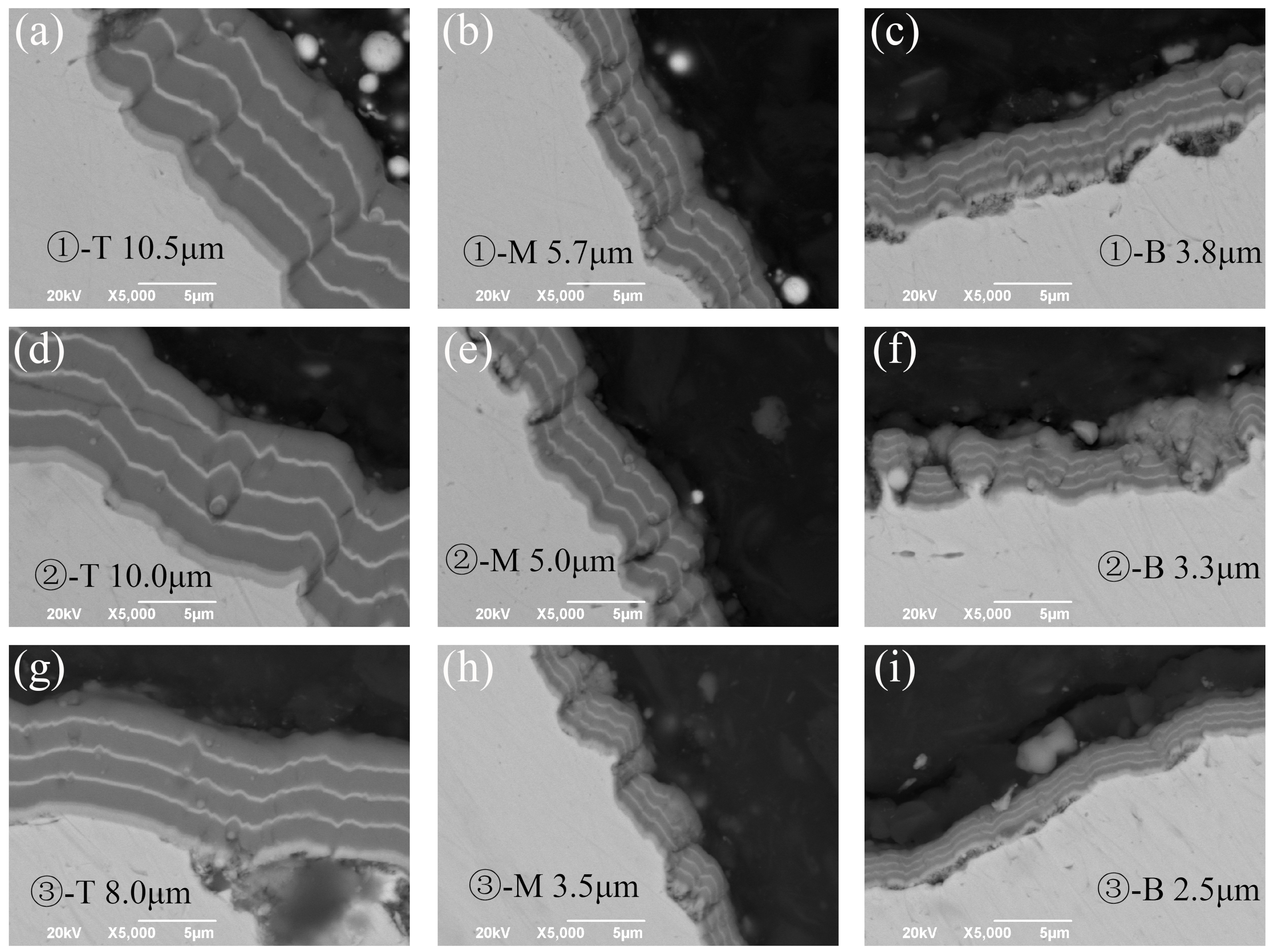 Crystals 14 00509 g009
