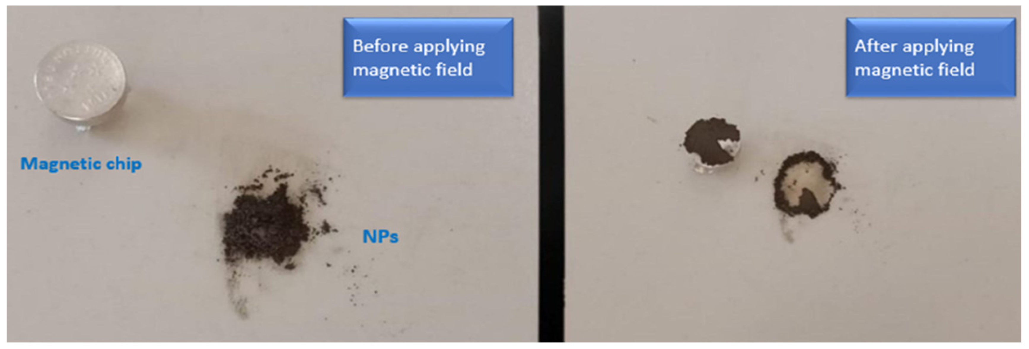 Crystals 14 00510 g004