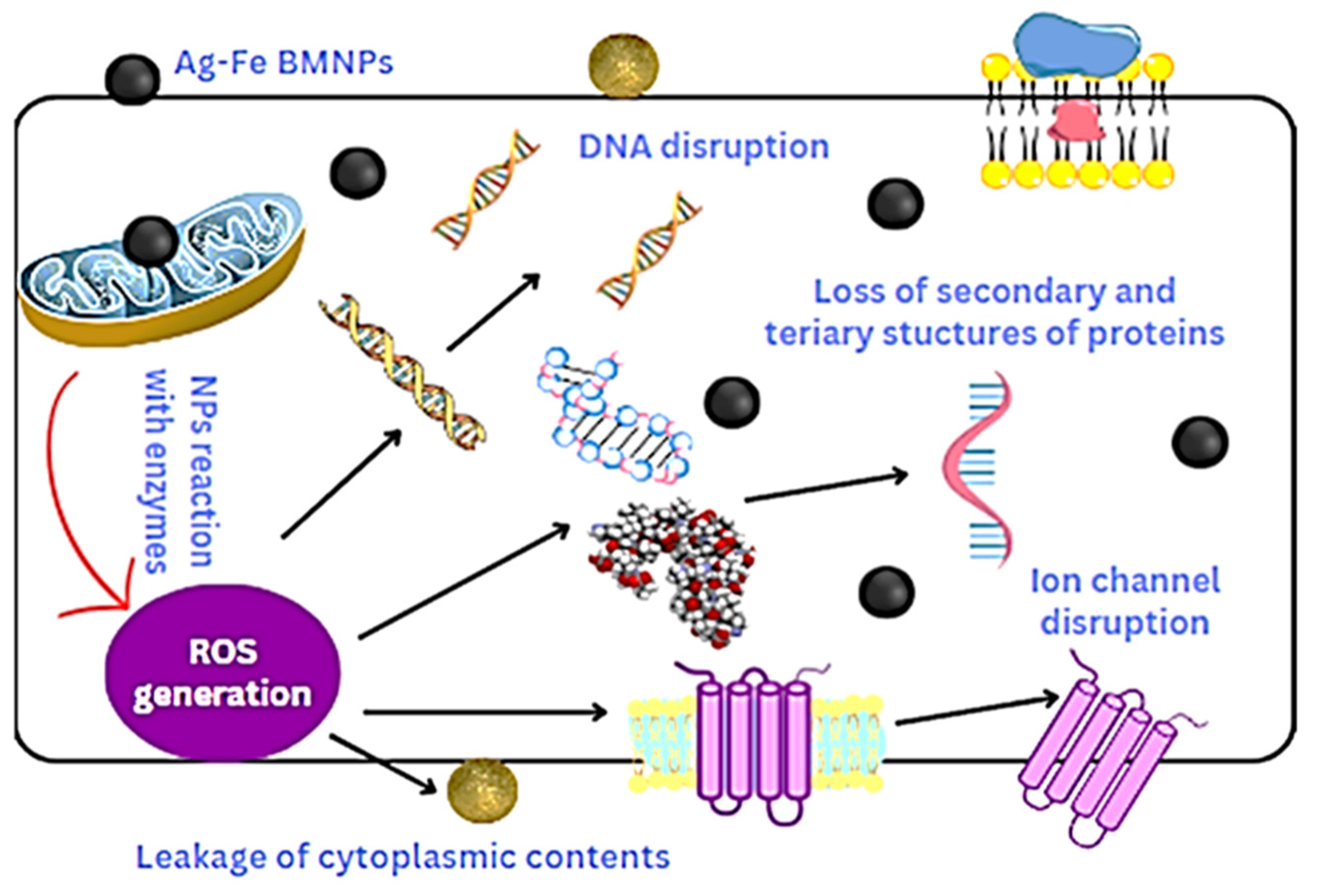 Crystals 14 00510 g007