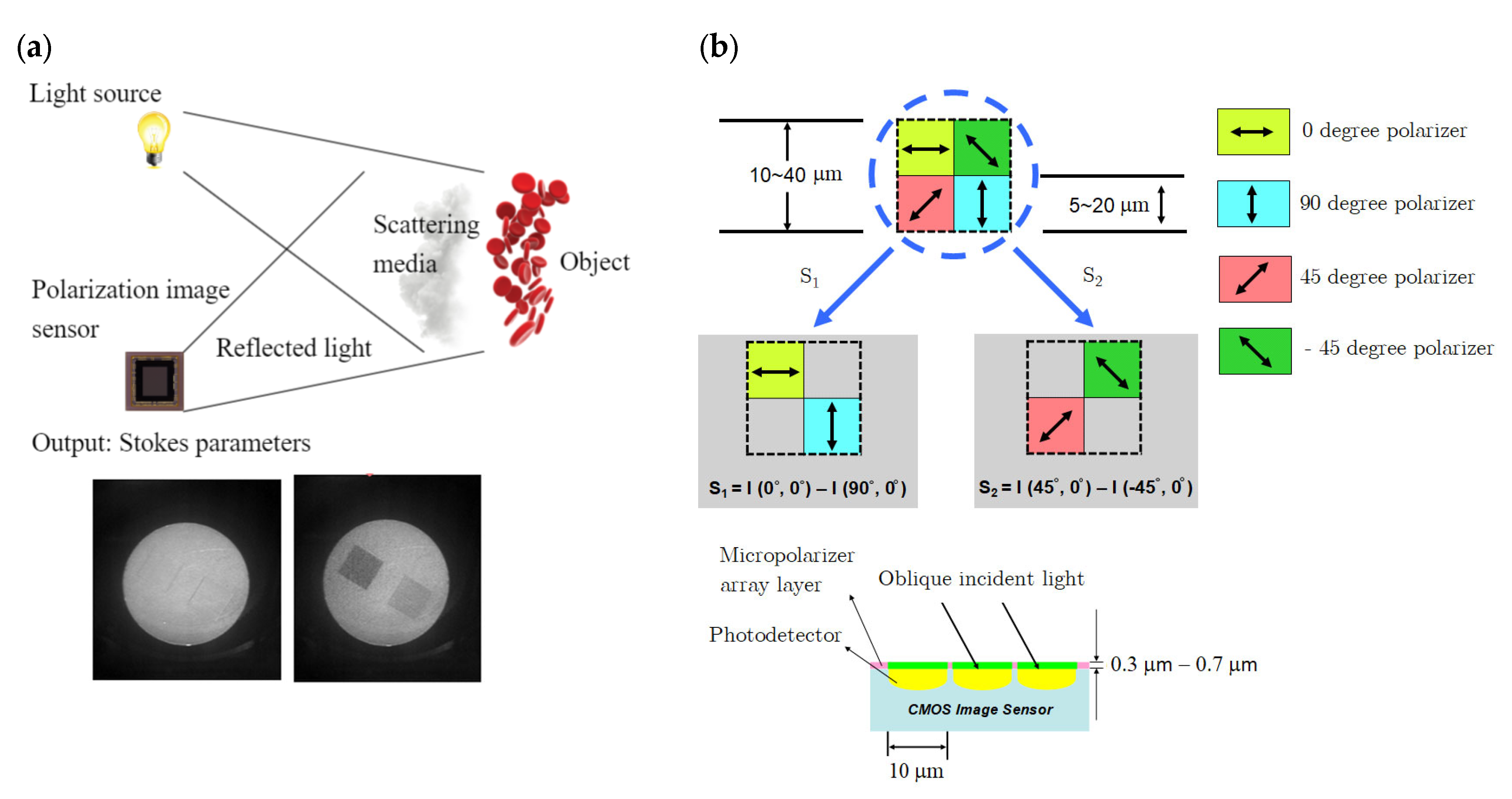 Crystals 14 00512 g006