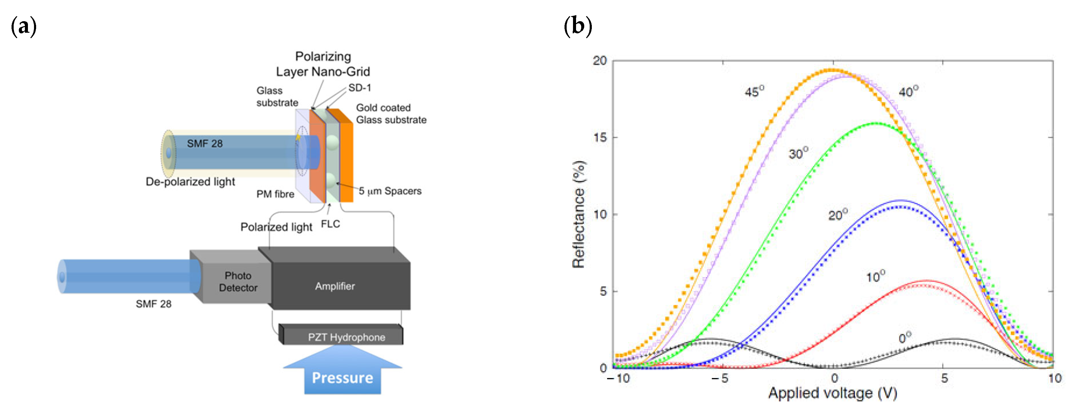 Crystals 14 00512 g007