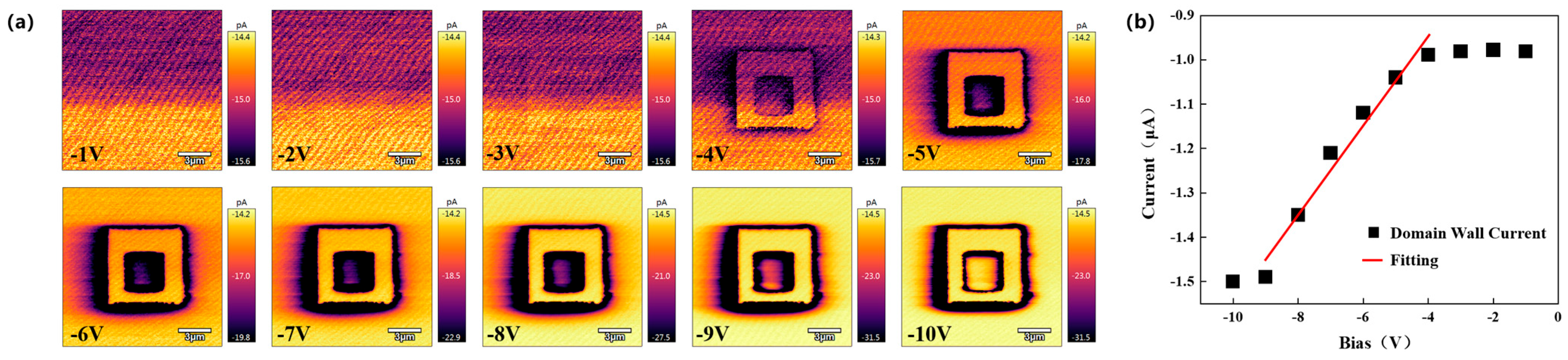 Crystals 14 00537 g005