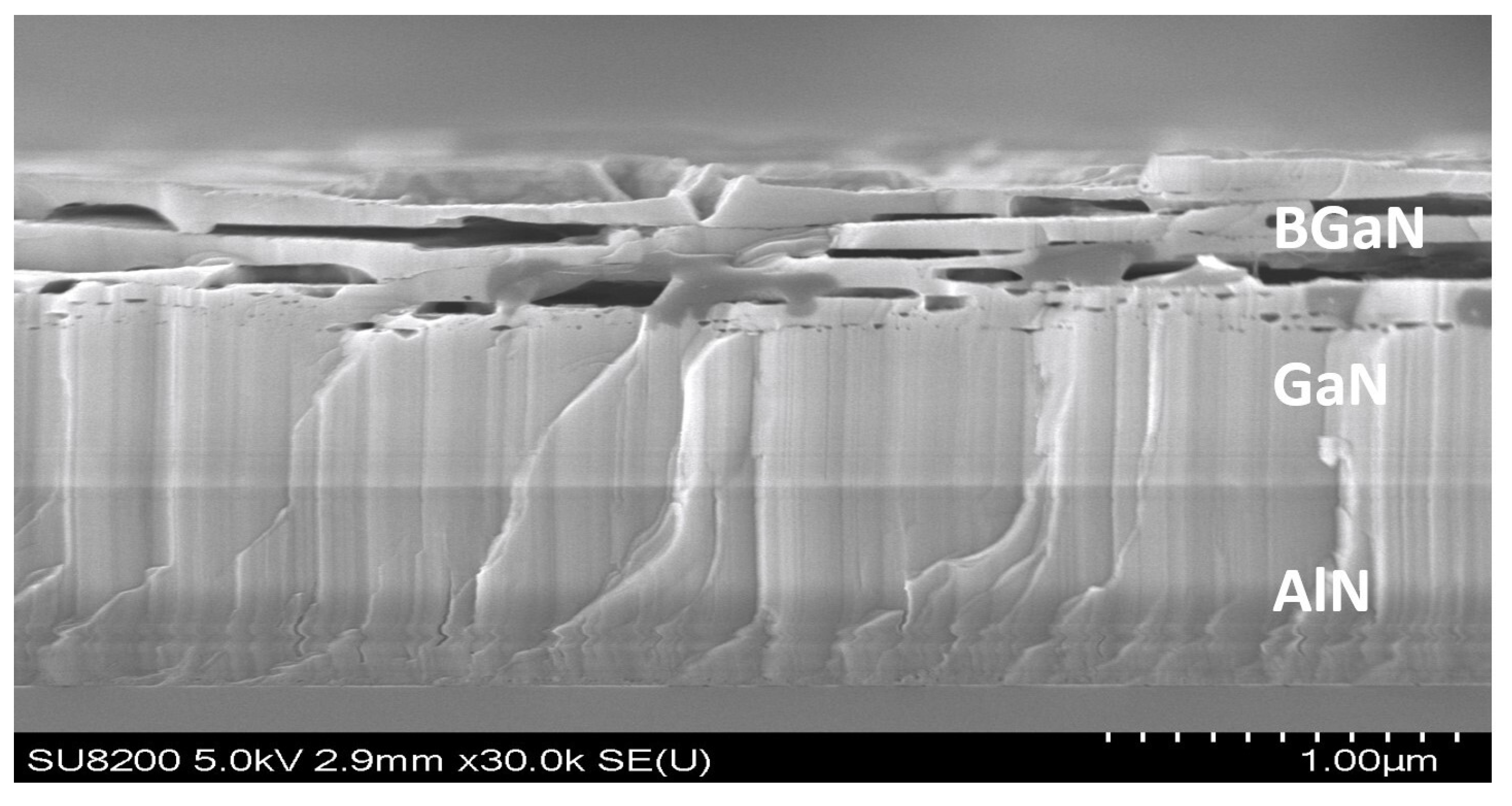 Crystals 14 00541 g003