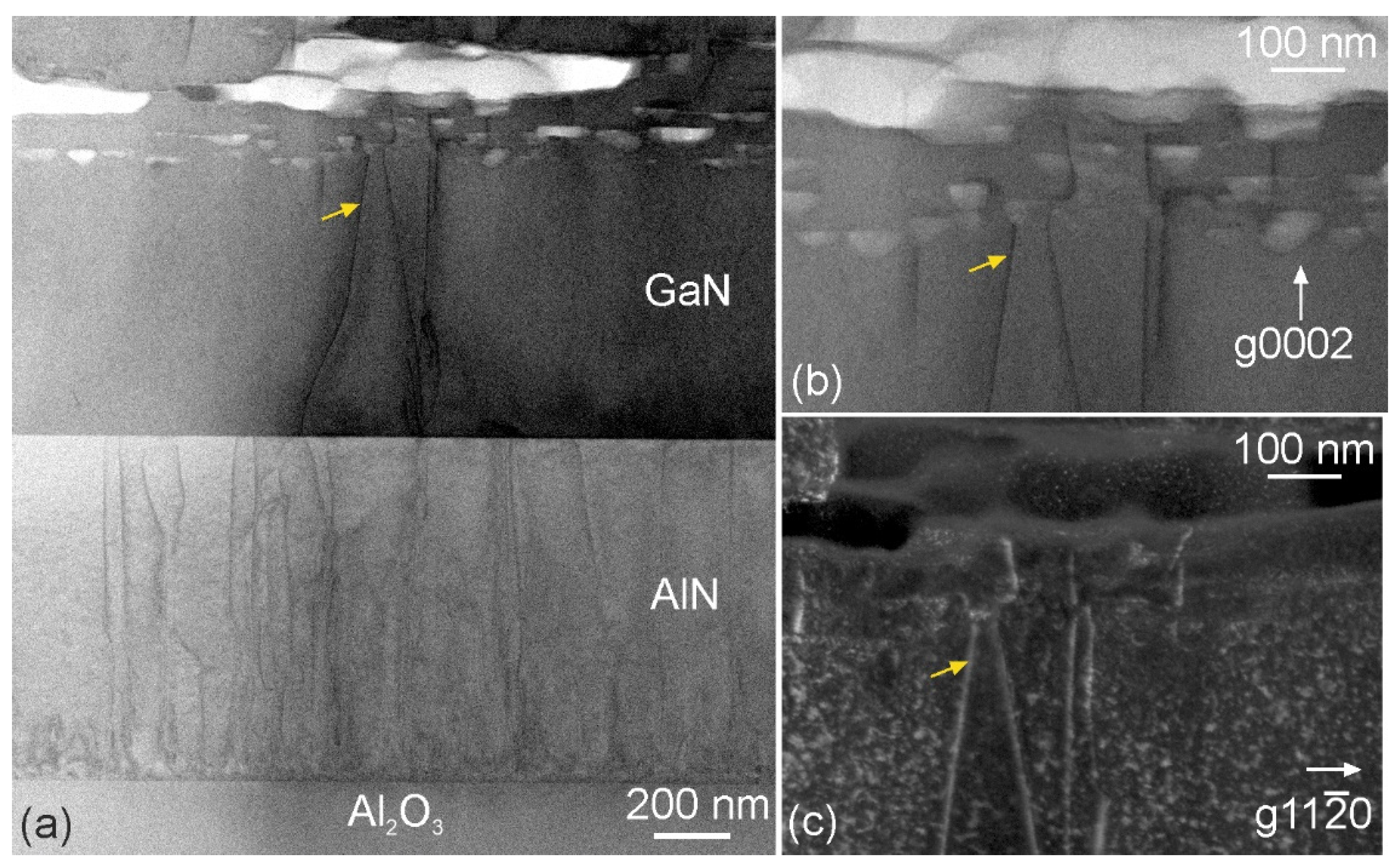 Crystals 14 00541 g004