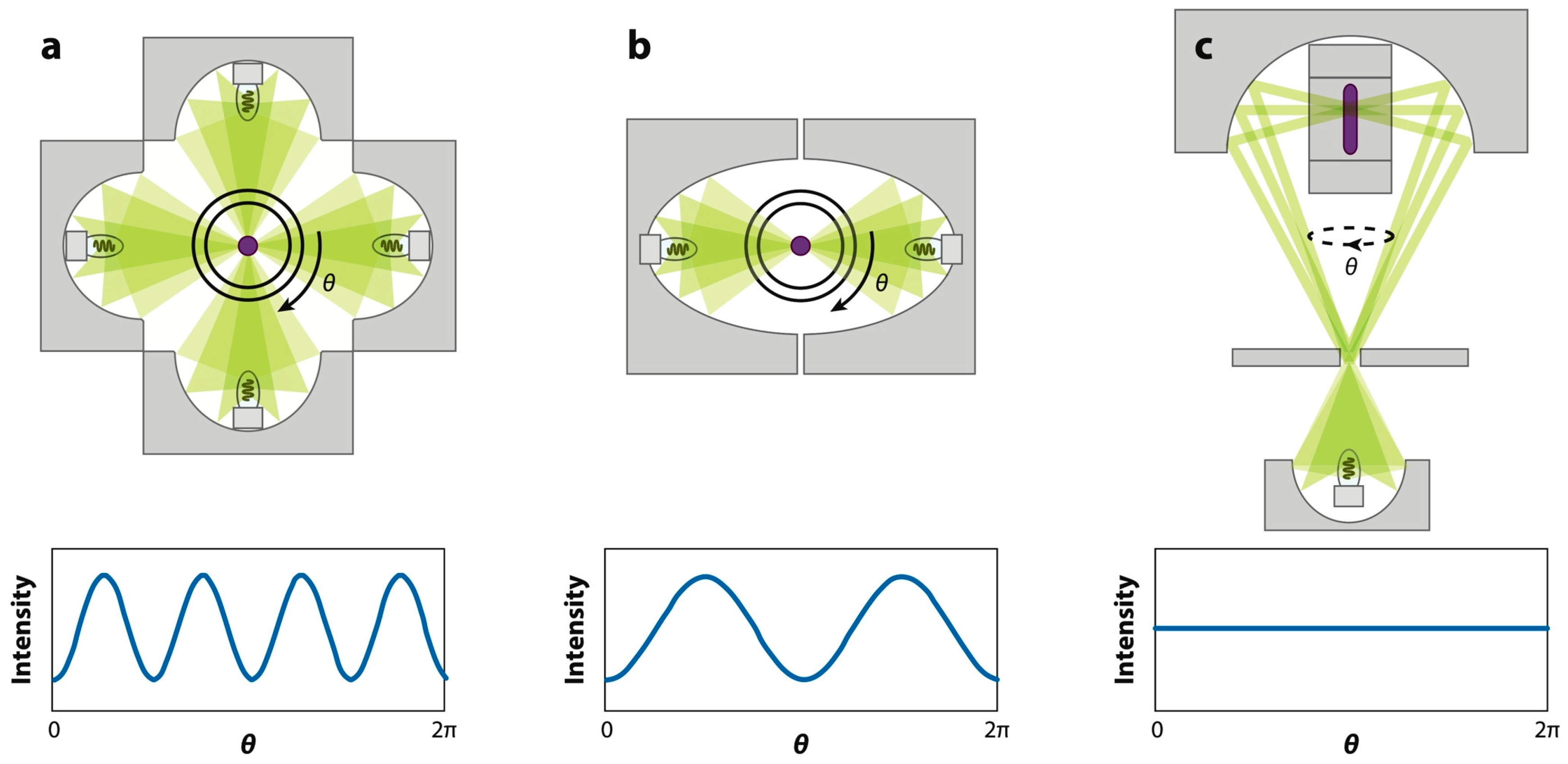 Crystals 14 00552 g003