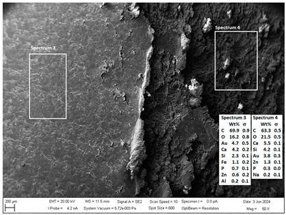 Crystals 14 00558 i010