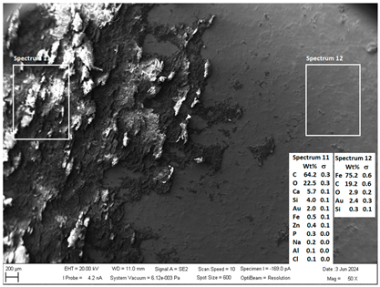 Crystals 14 00558 i011