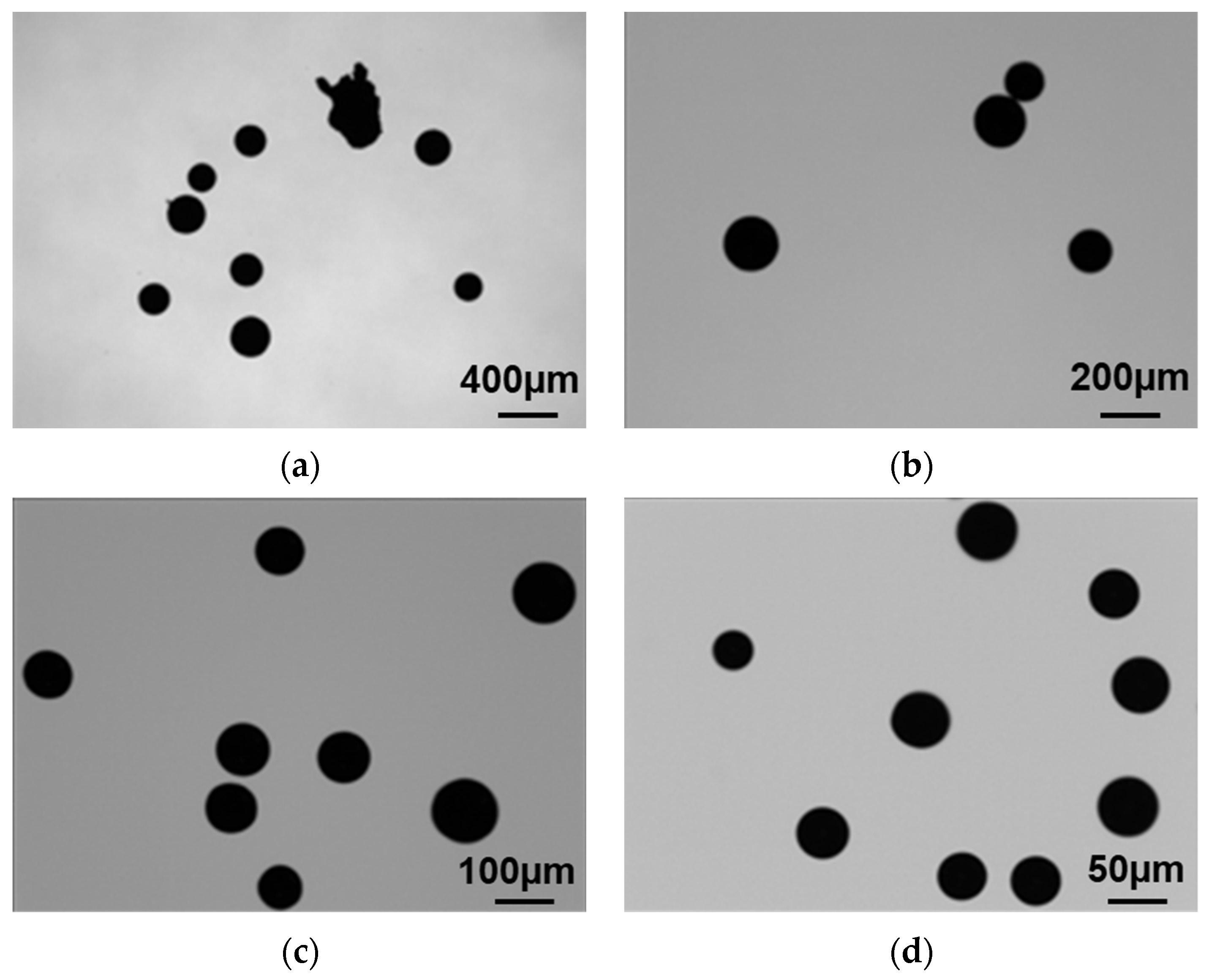 Crystals 14 00562 g008