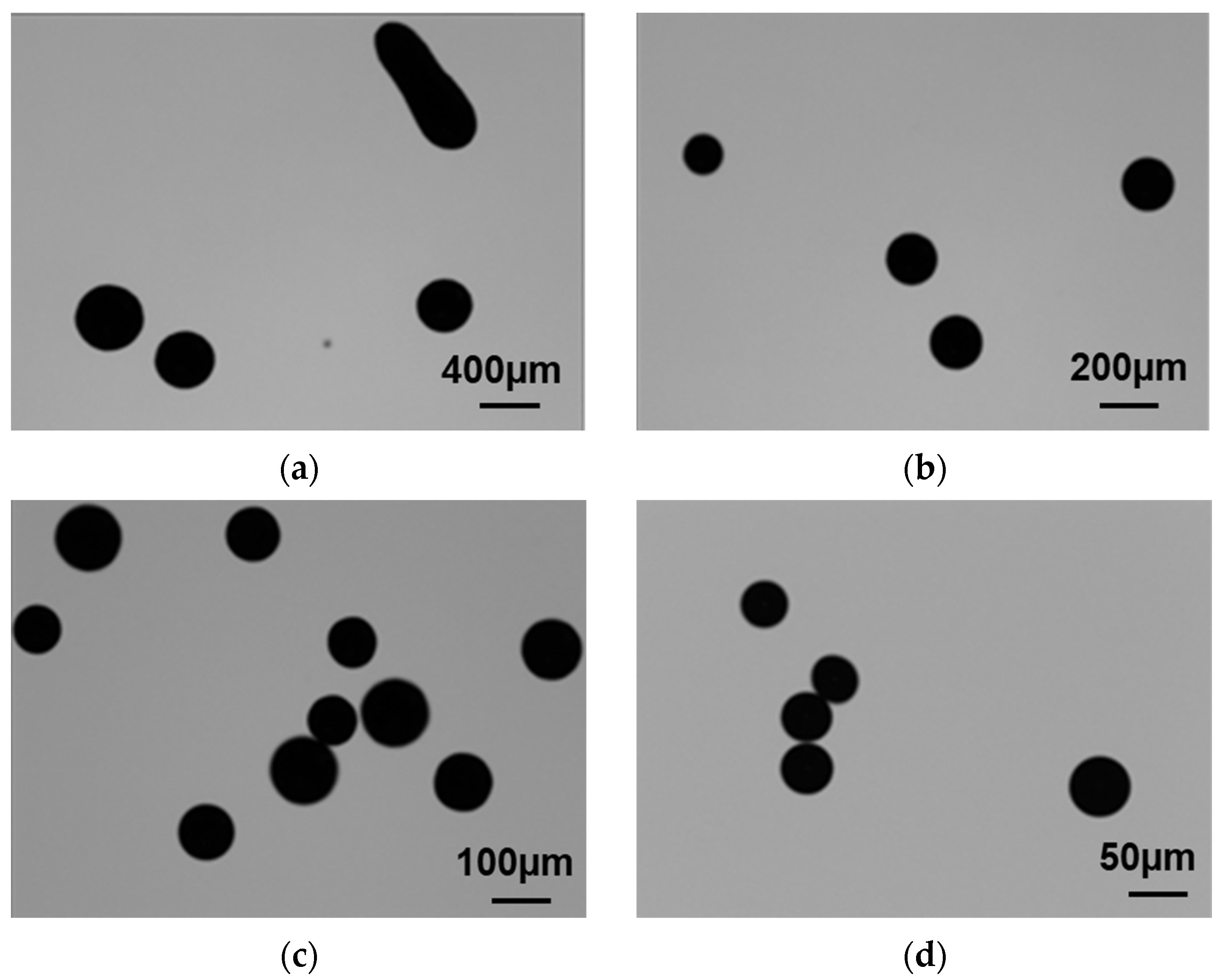 Crystals 14 00562 g009