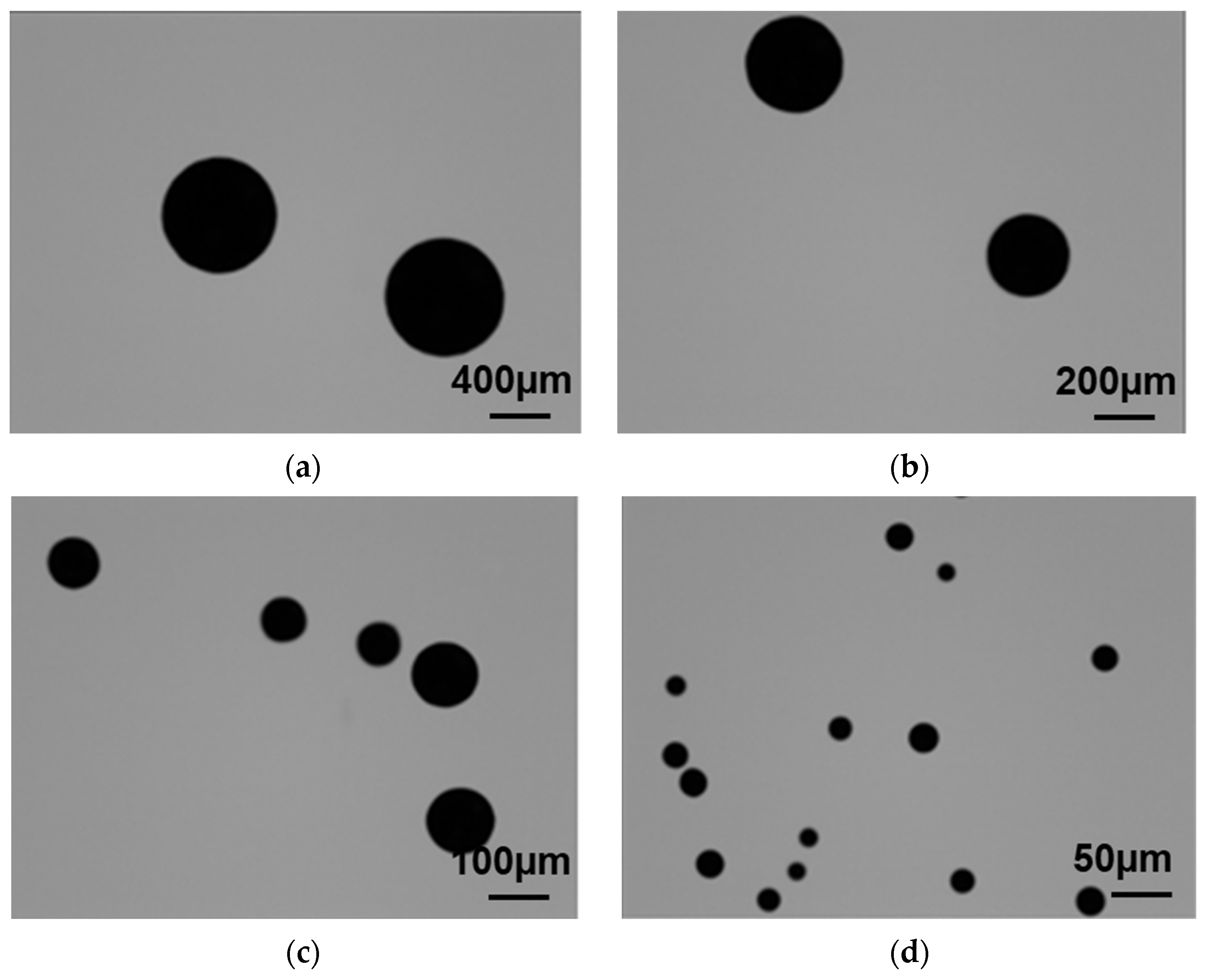 Crystals 14 00562 g012