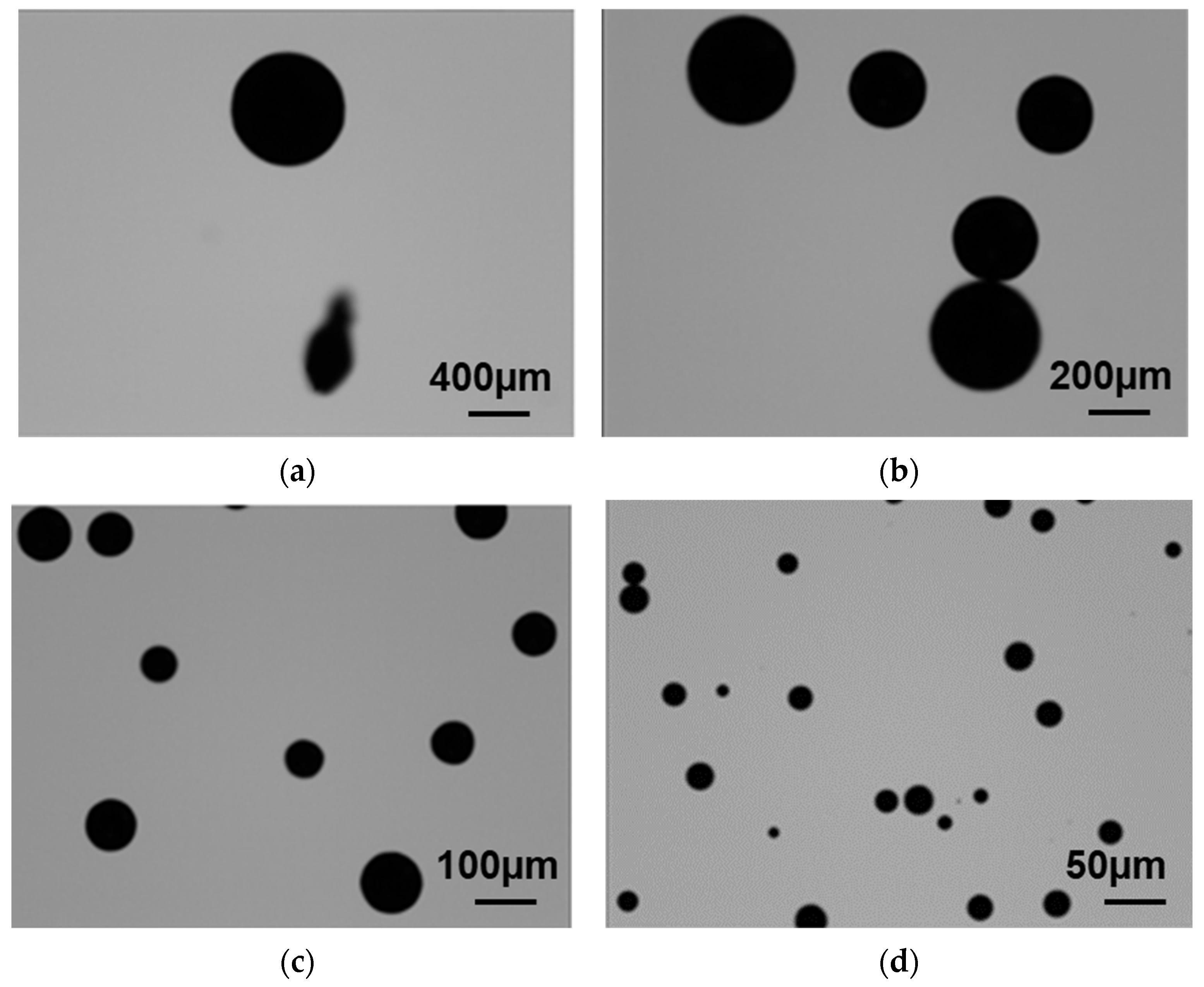 Crystals 14 00562 g013