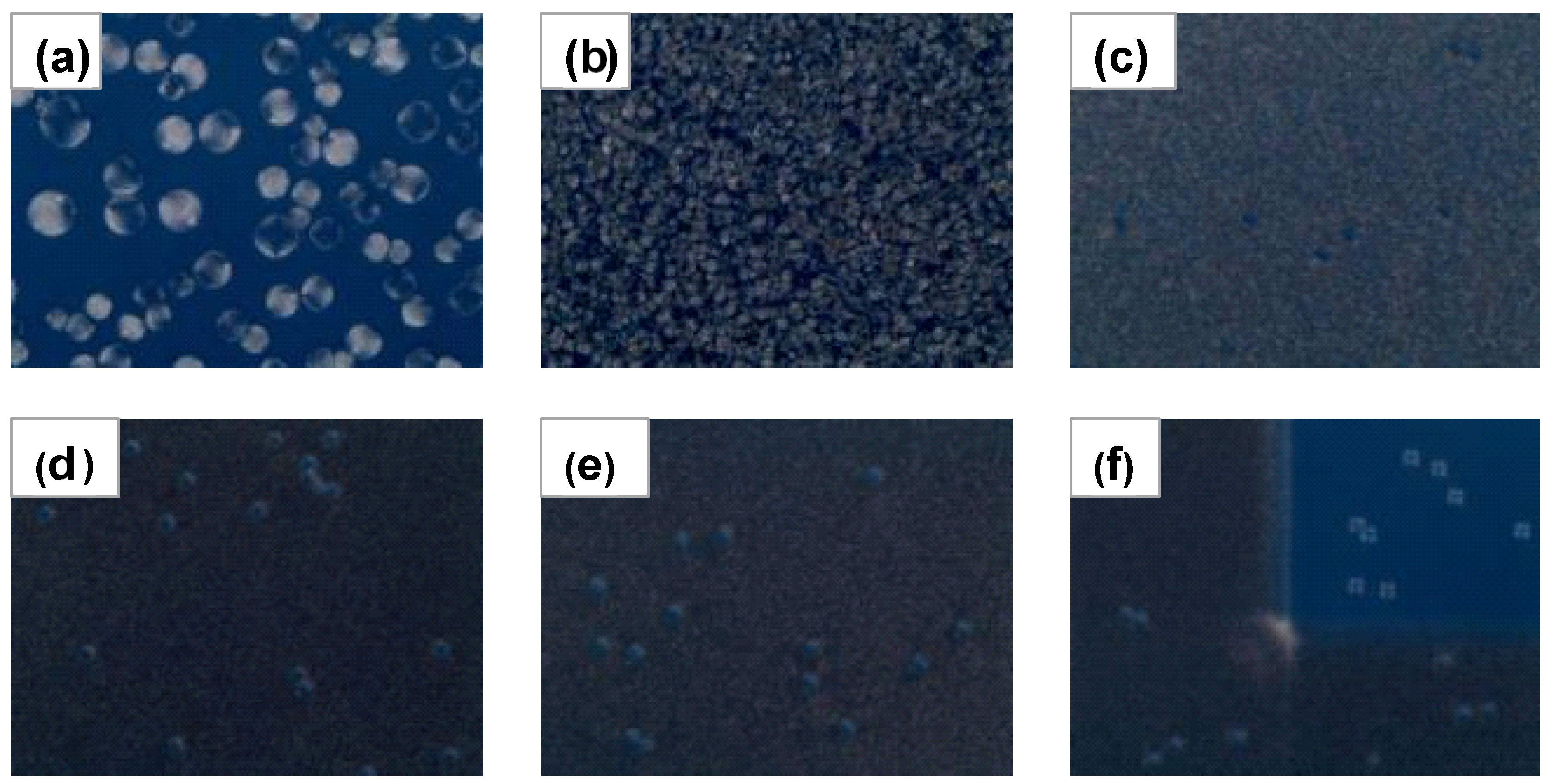 Crystals 14 00571 g003