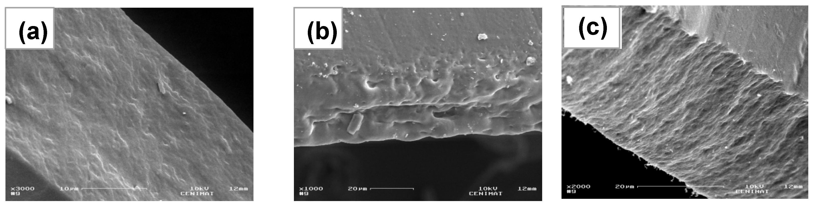 Crystals 14 00571 g005