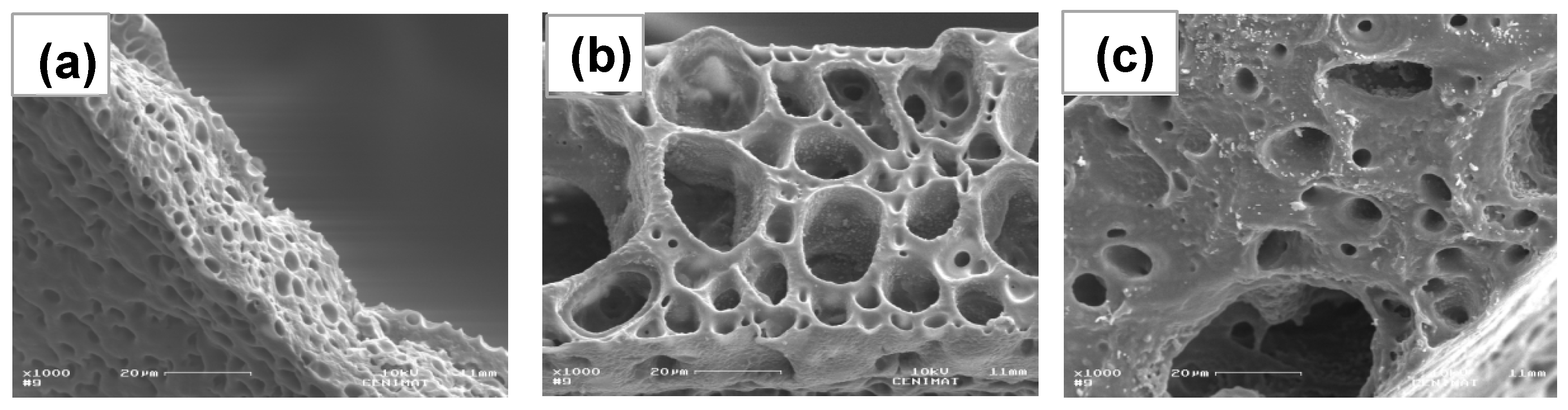 Crystals 14 00571 g006