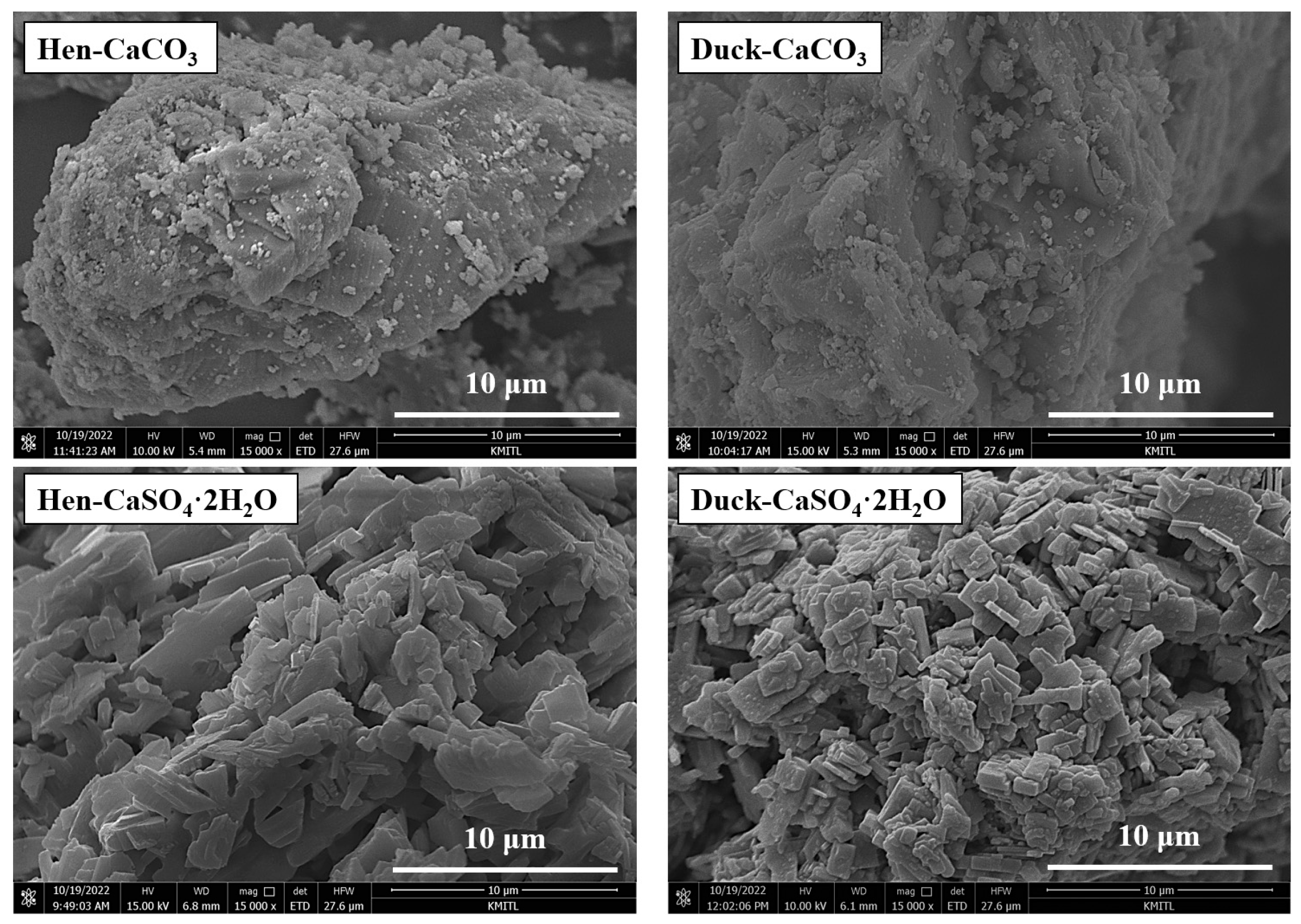 Crystals 14 00577 g007