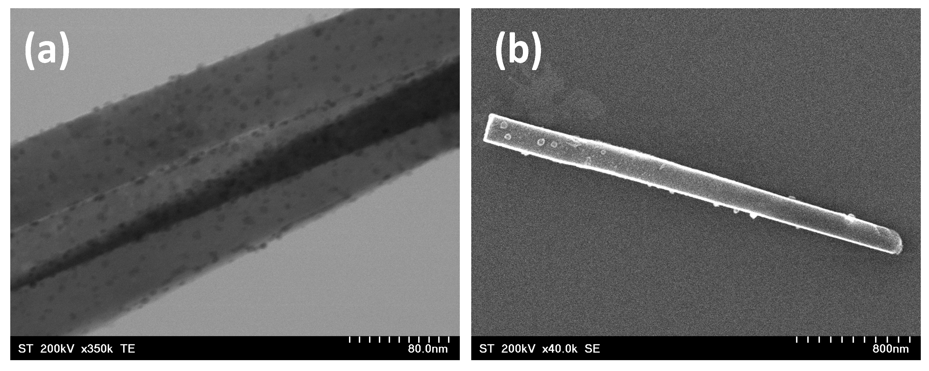 Crystals 14 00616 g005