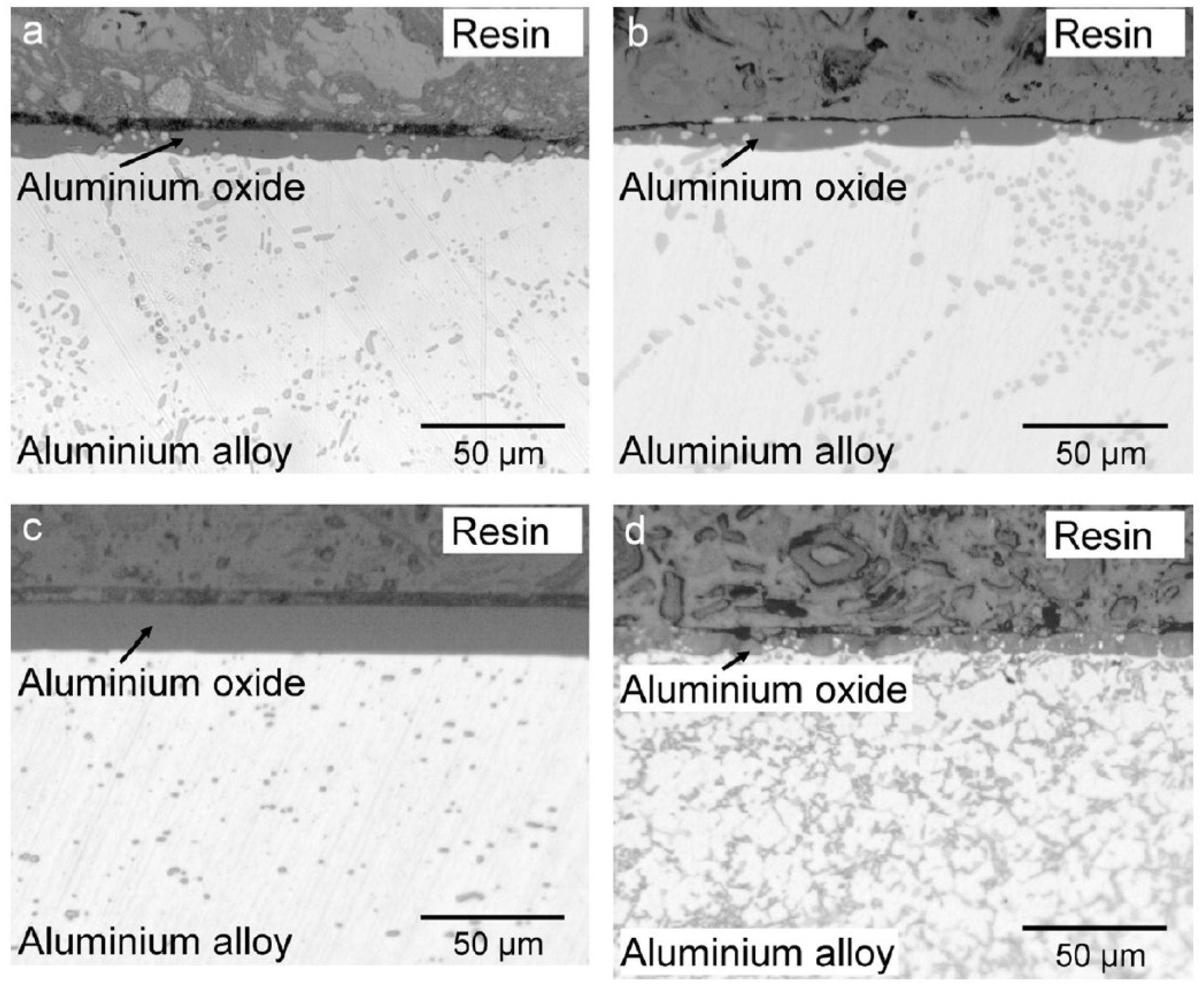 Crystals 14 00617 g008