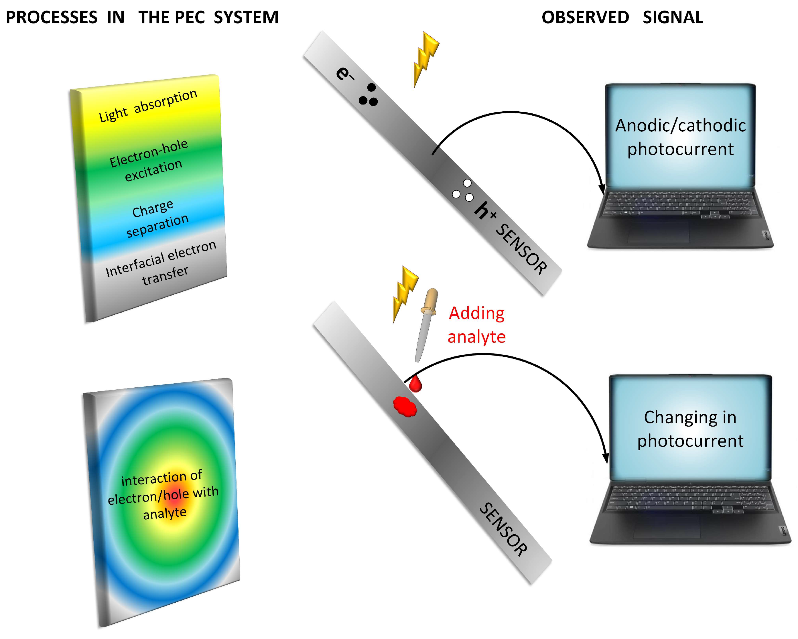 Crystals 14 00626 g004