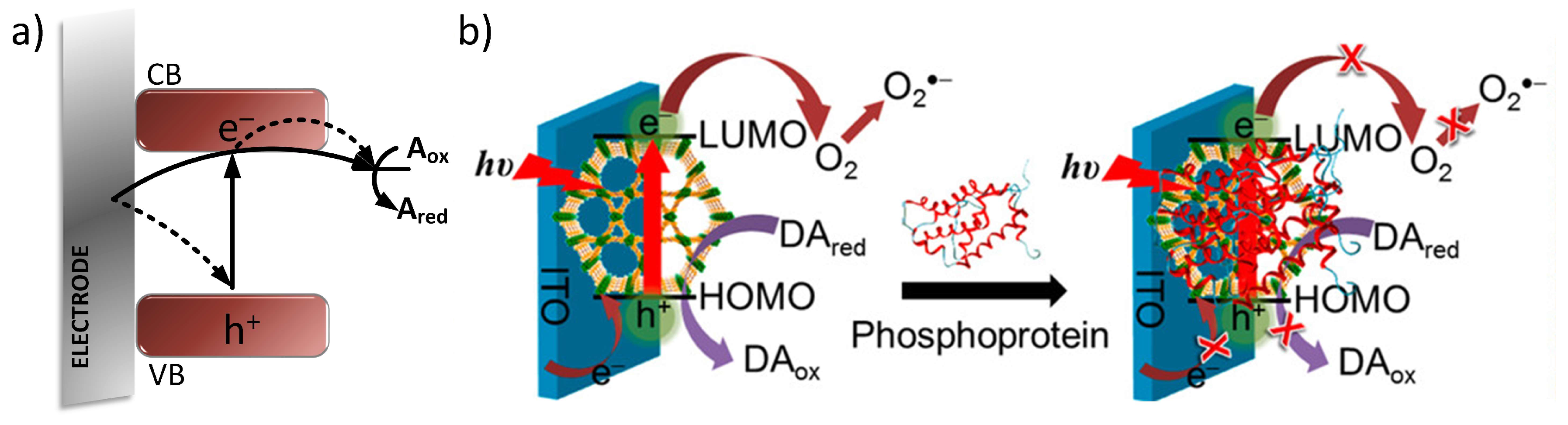 Crystals 14 00626 g006