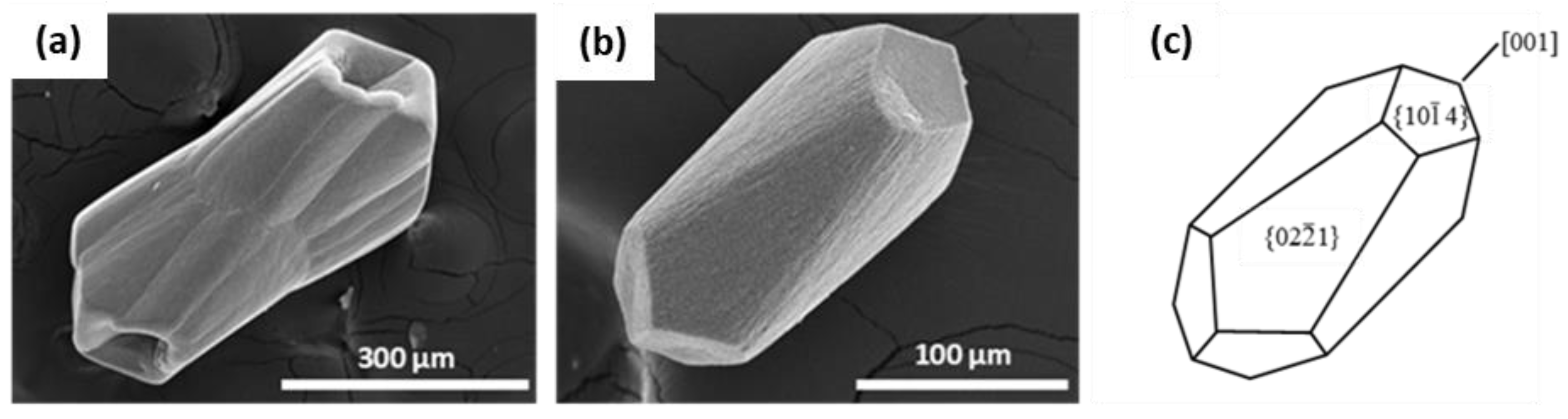 Crystals 14 00635 g002