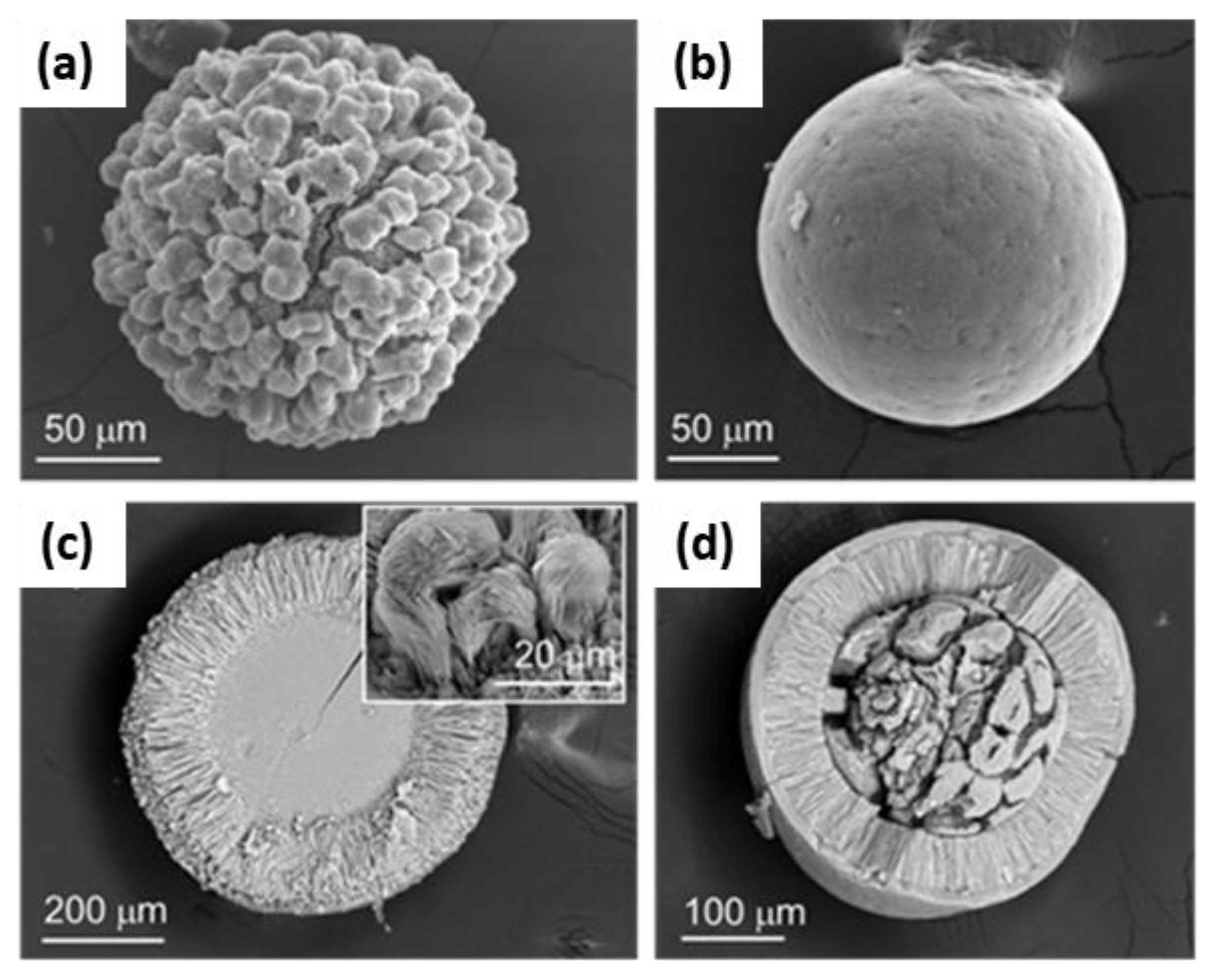 Crystals 14 00635 g003