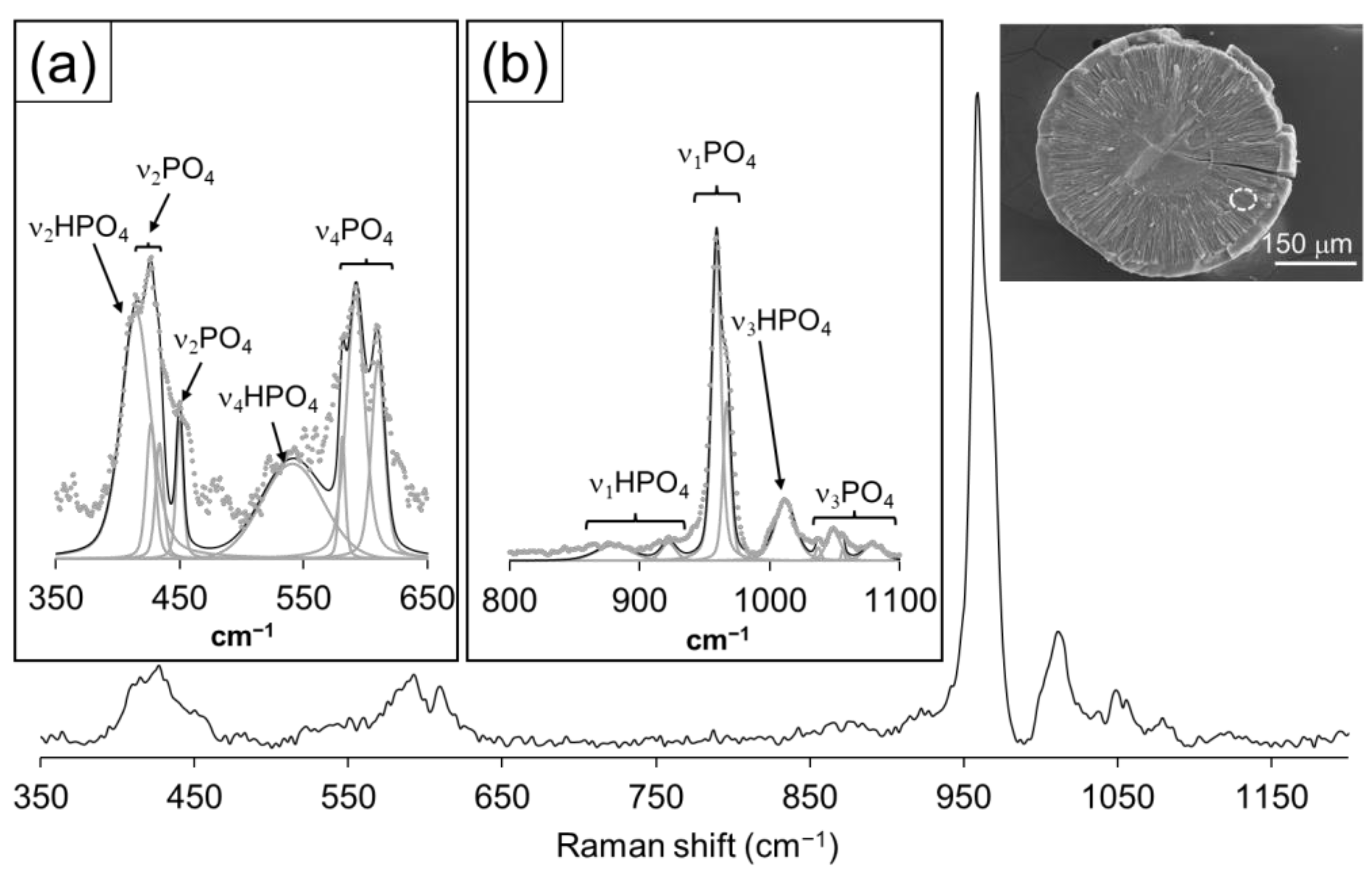 Crystals 14 00635 g008