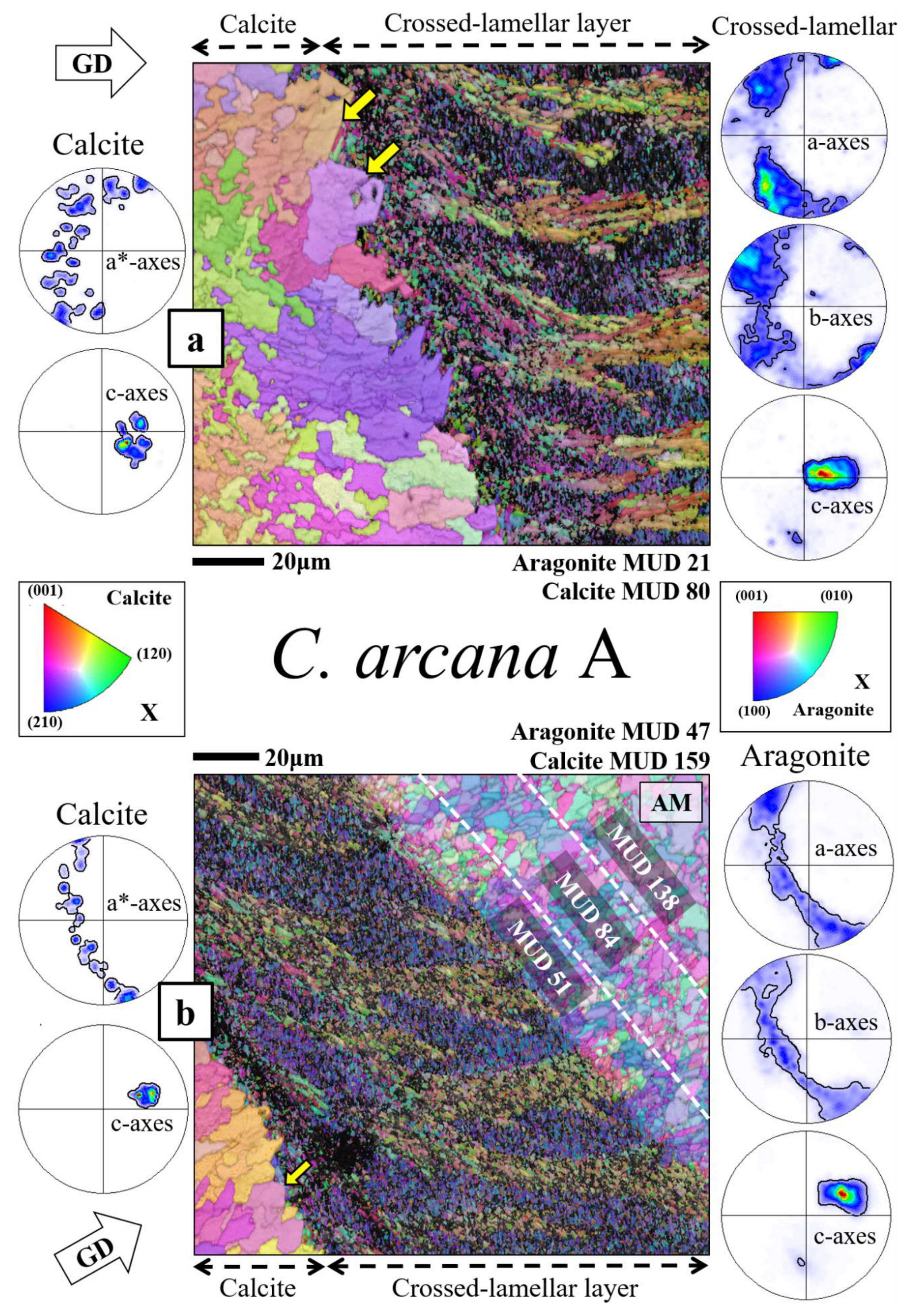 Crystals 14 00649 g002