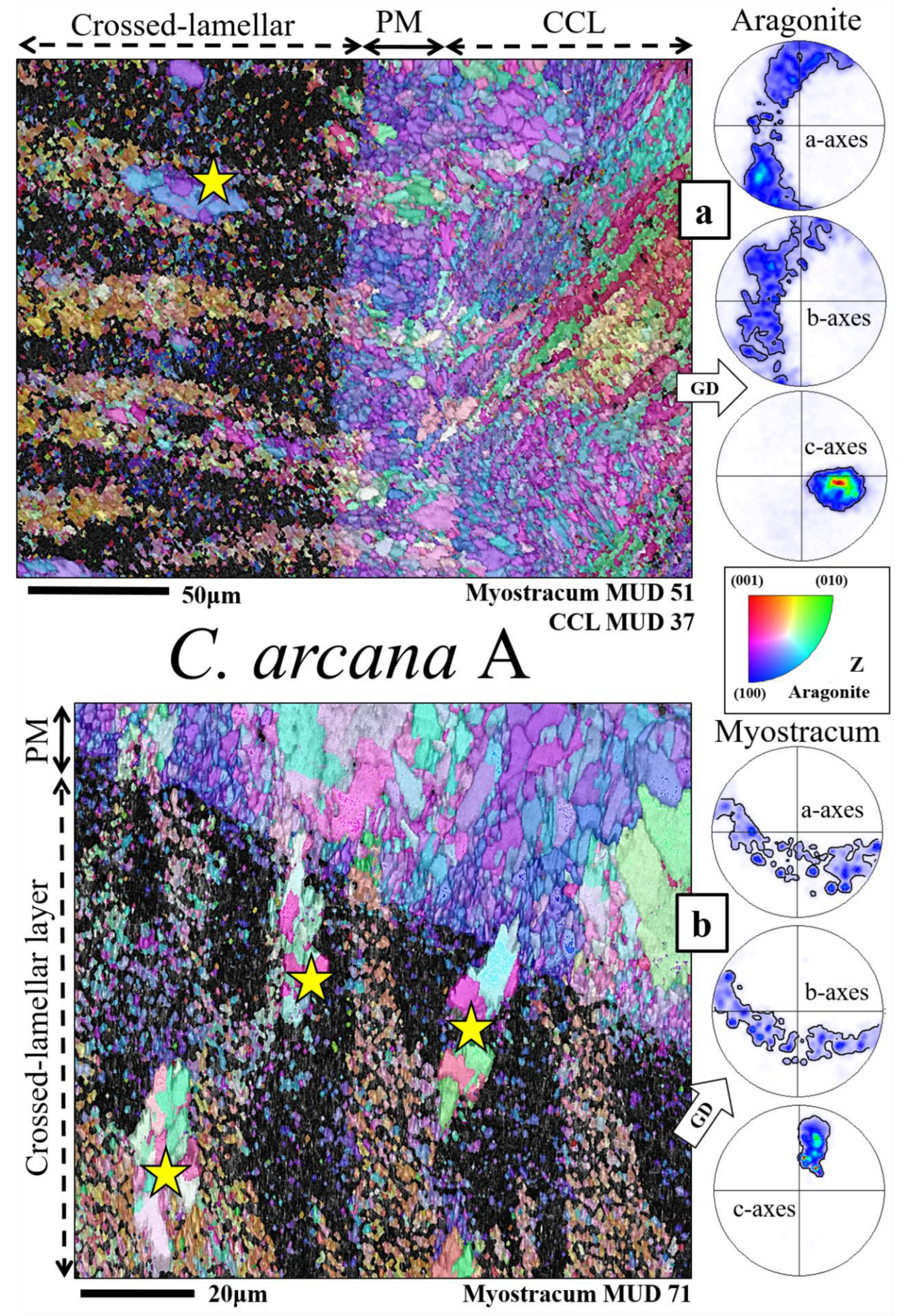 Crystals 14 00649 g003