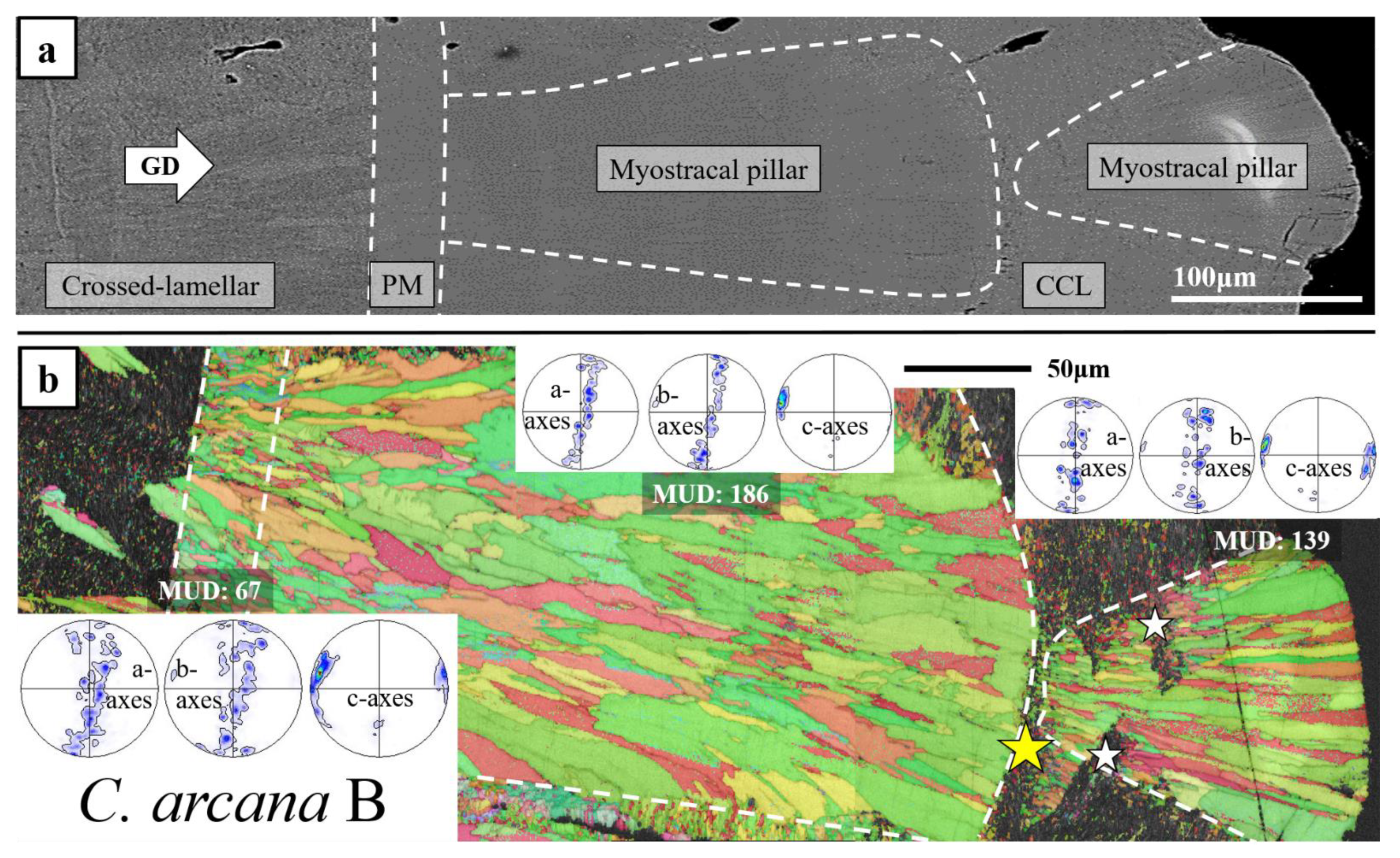 Crystals 14 00649 g006