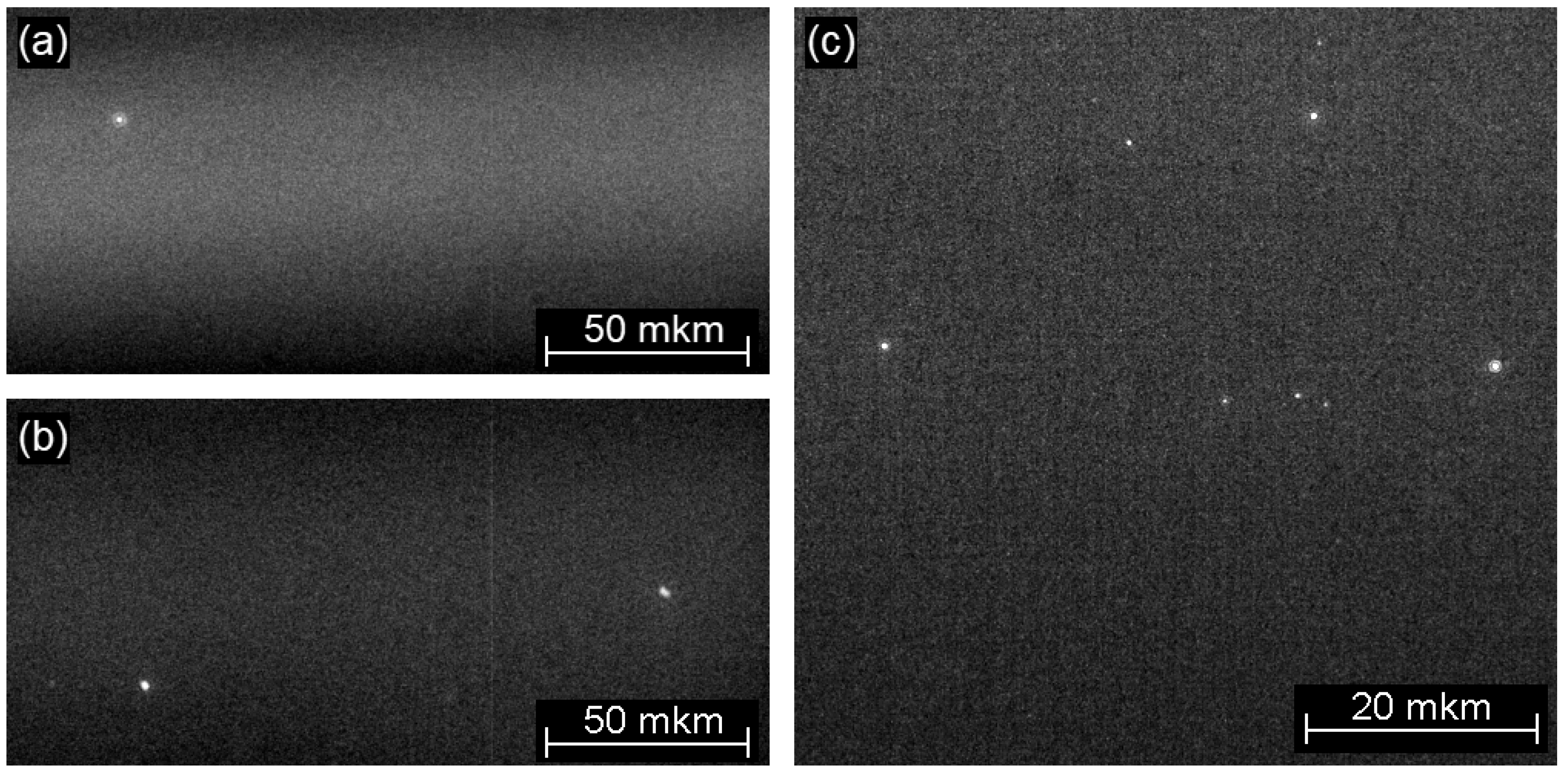 Crystals 14 00650 g002