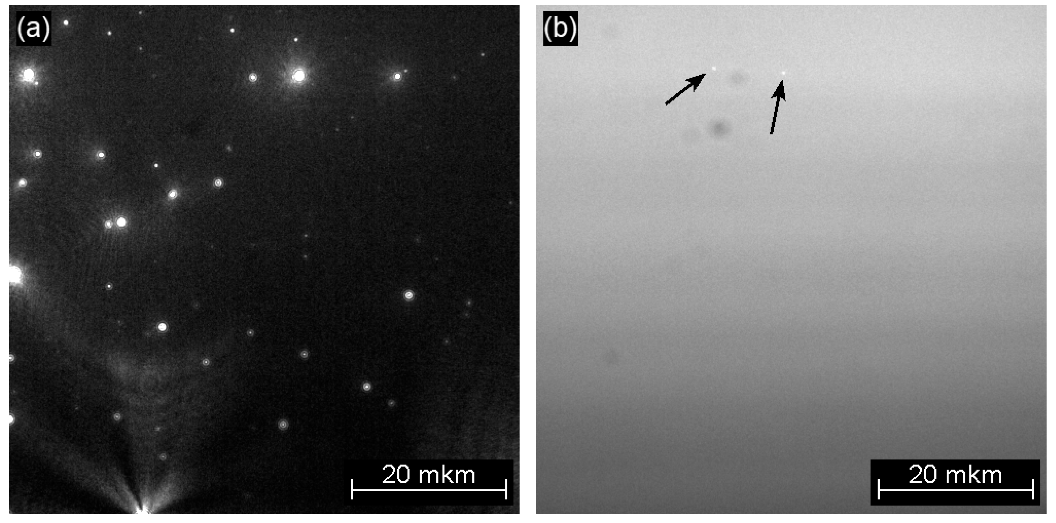 Crystals 14 00650 g005