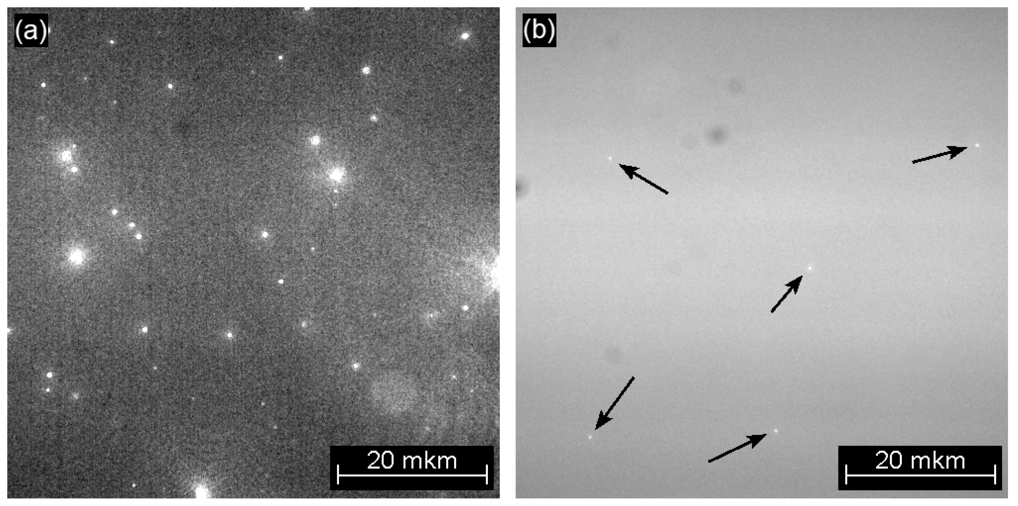 Crystals 14 00650 g006