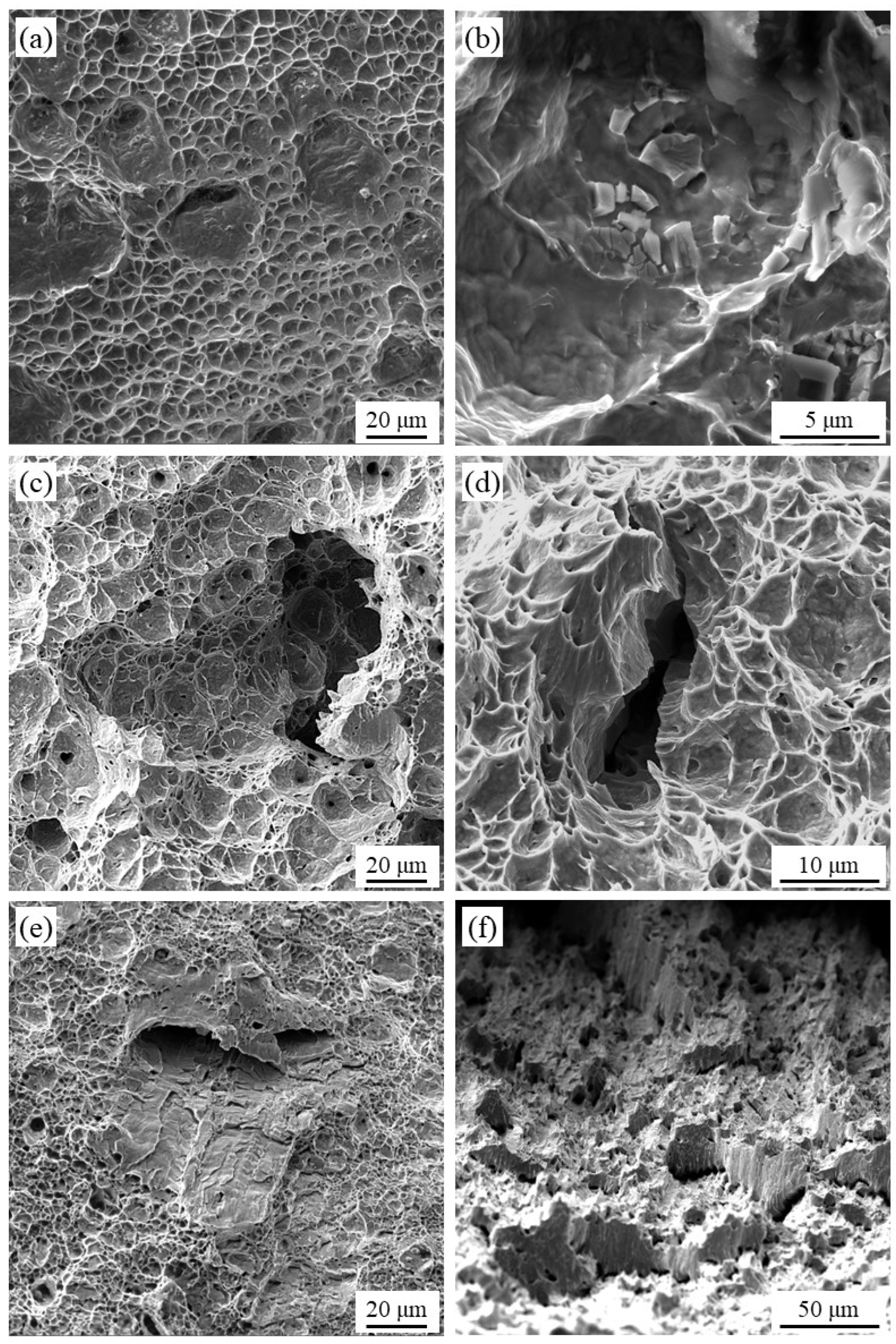 Crystals 14 00651 g006