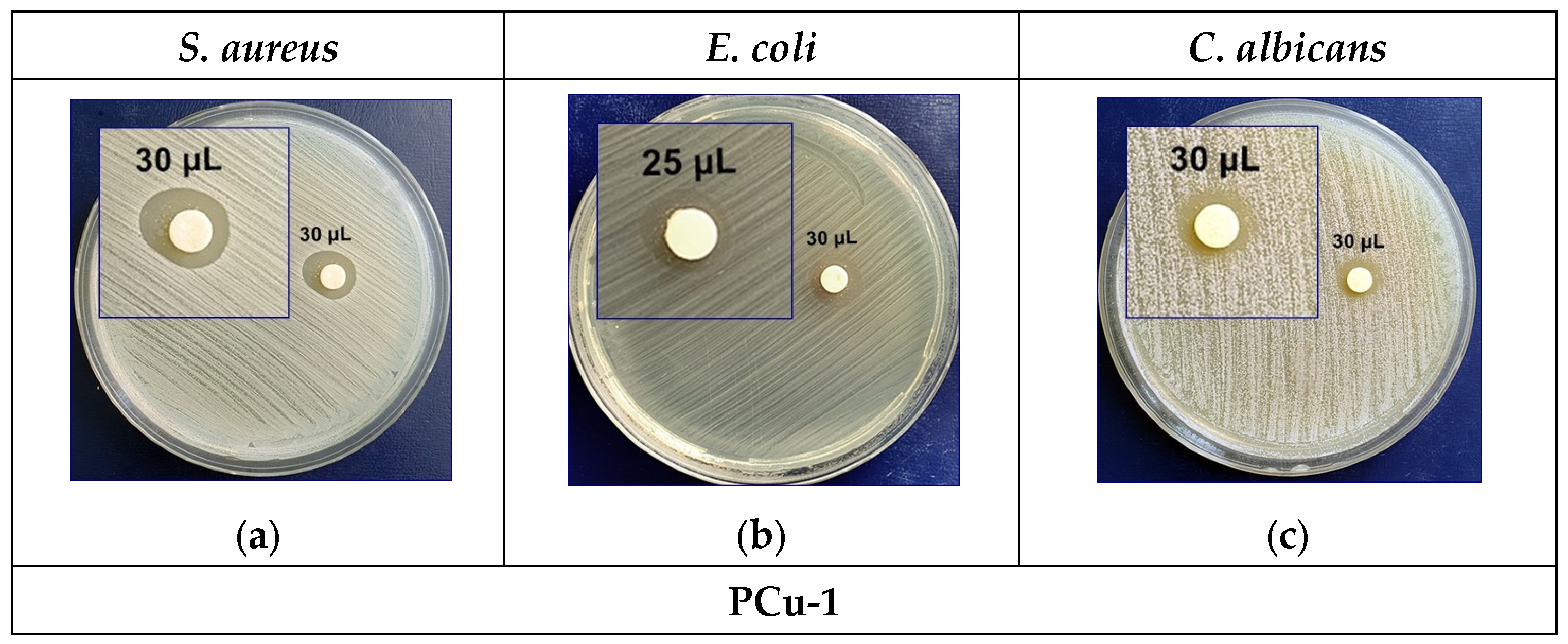 Crystals 14 00659 g011a Crystals 14 00659 g011a