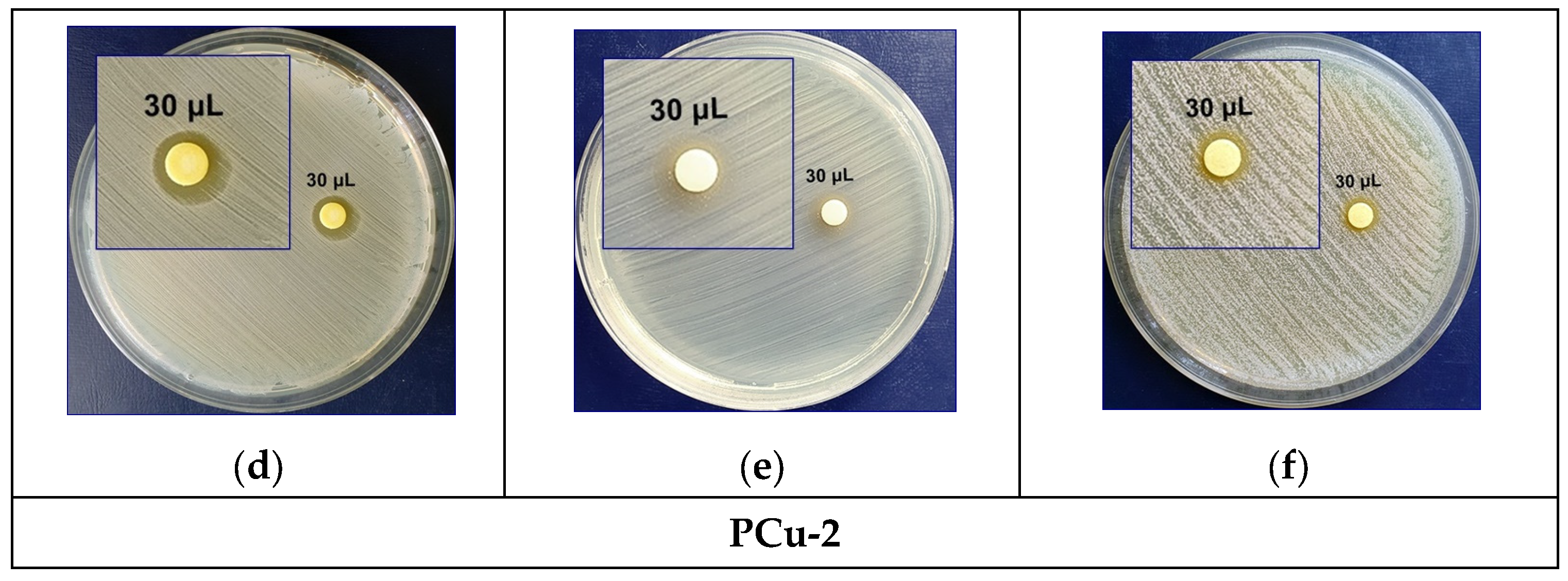 Crystals 14 00659 g011b Crystals 14 00659 g011b
