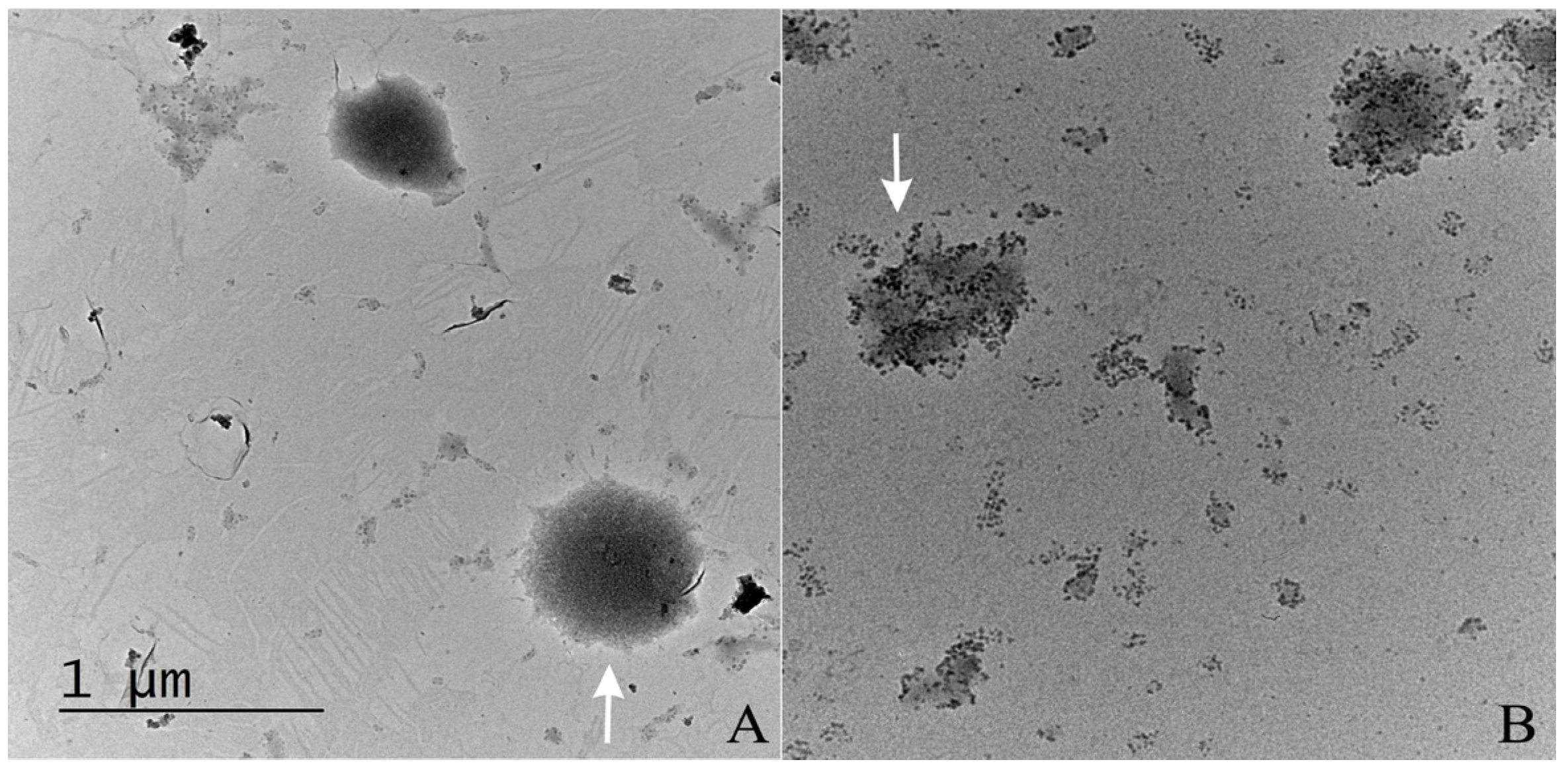 Crystals 14 00660 g002