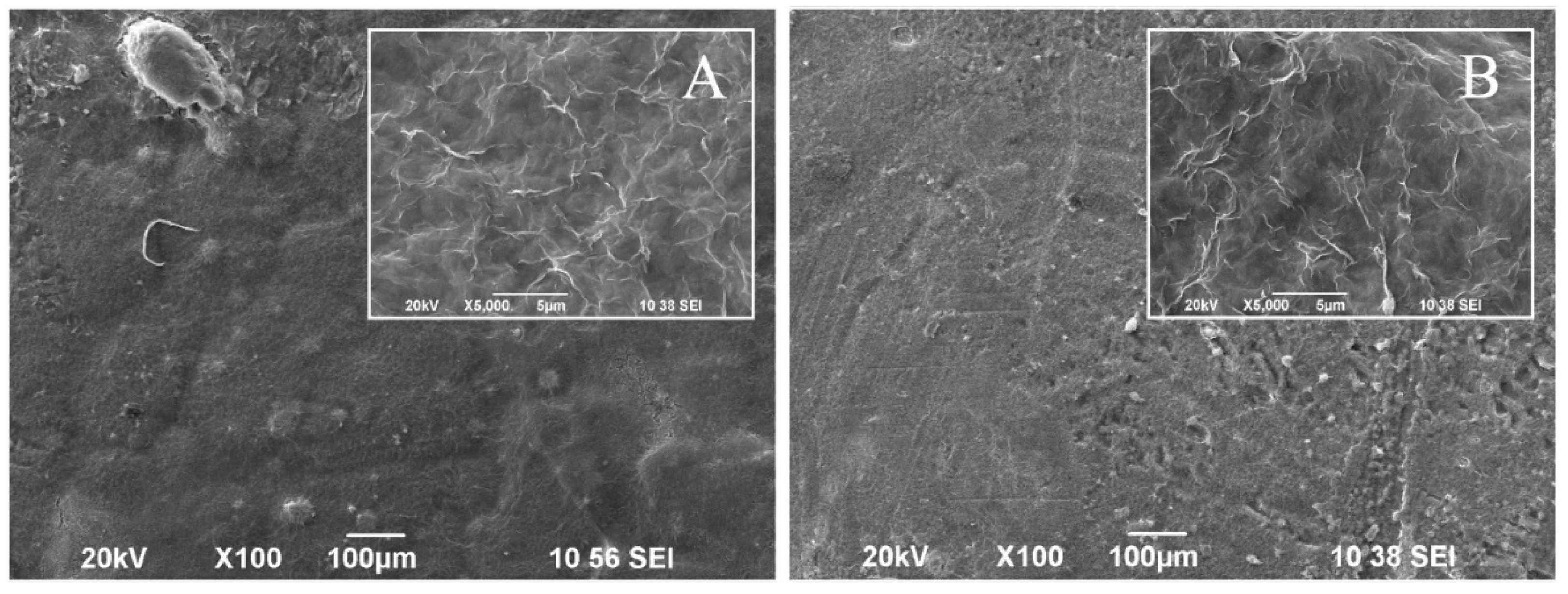 Crystals 14 00660 g006