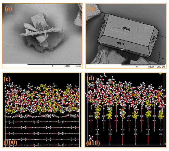 Prevention of Crystal Agglomeration: Mechanisms, Factors Prevention of Crystal Agglomeration: Mechanisms, Factors
