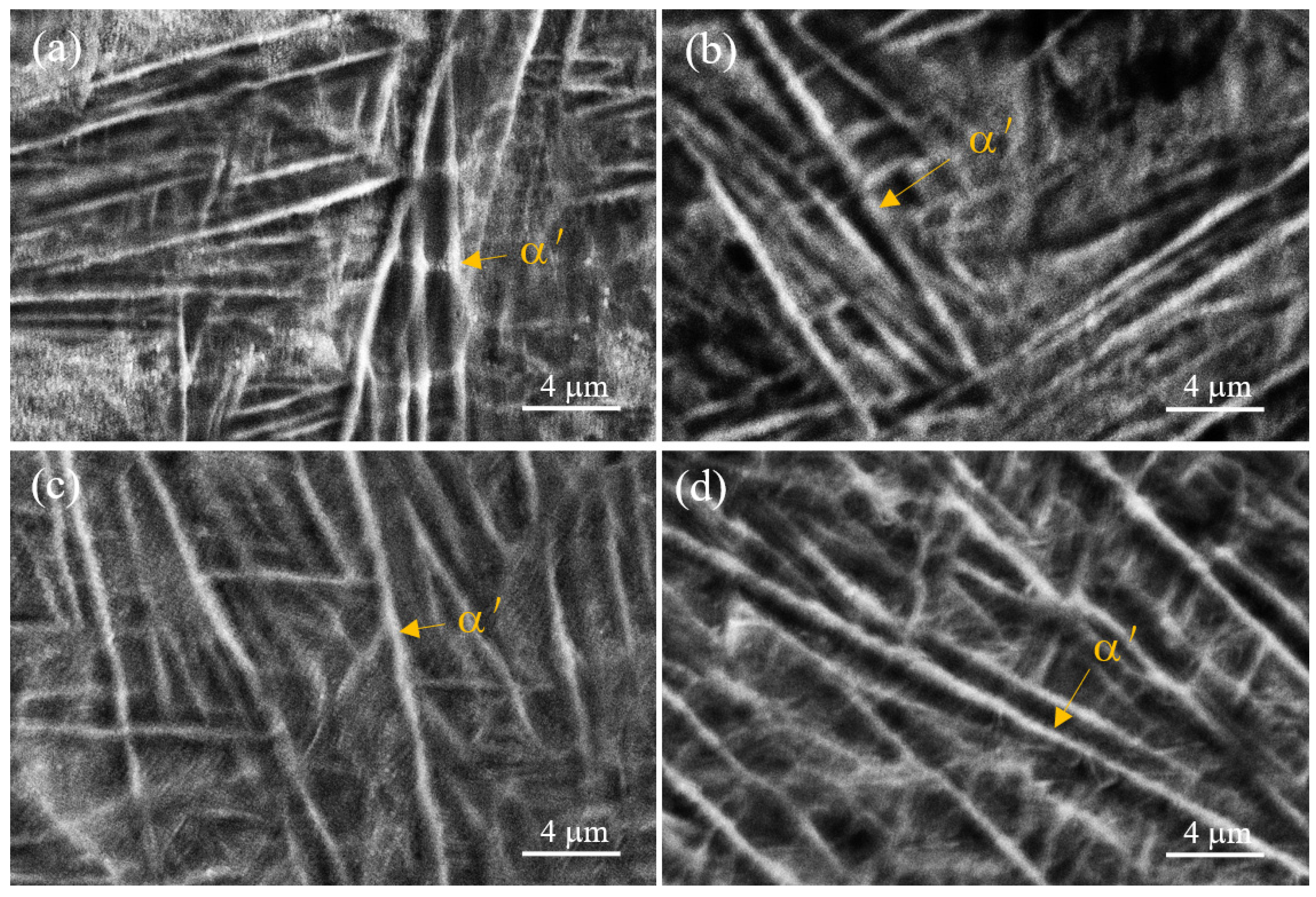 Crystals 14 00677 g009