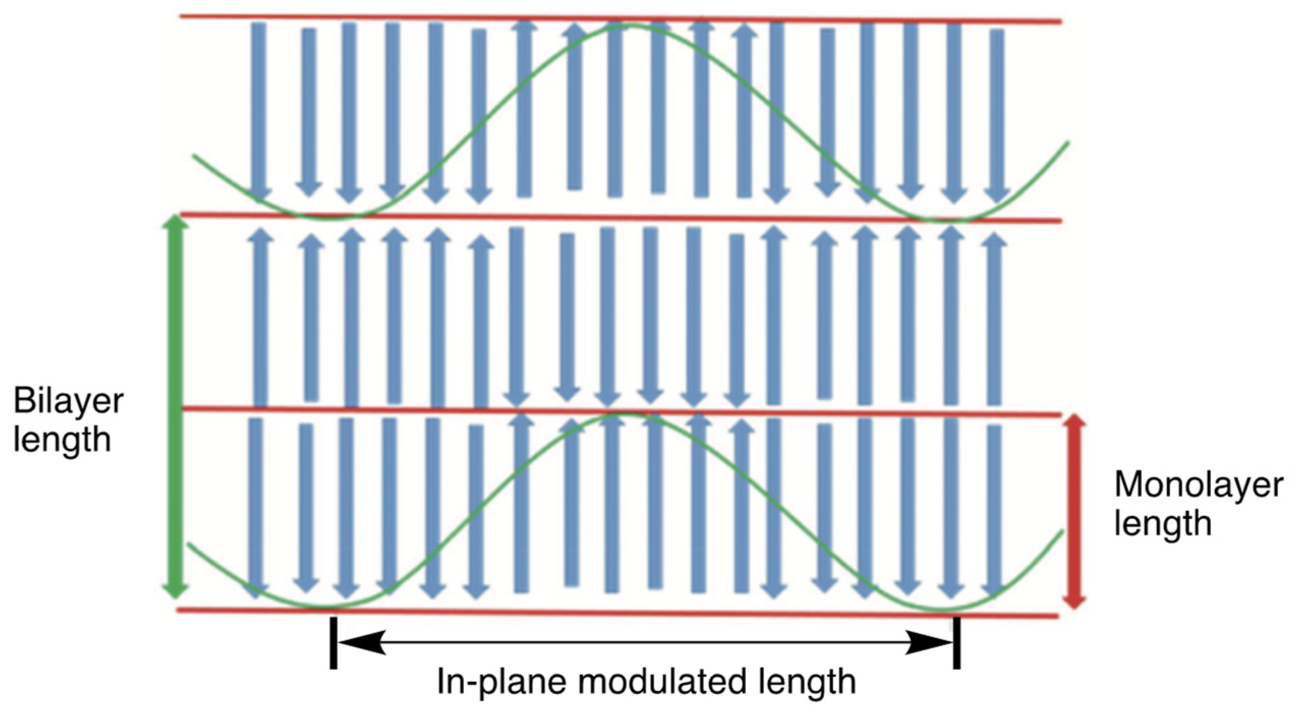 Crystals 14 00681 g002 Crystals 14 00681 g002