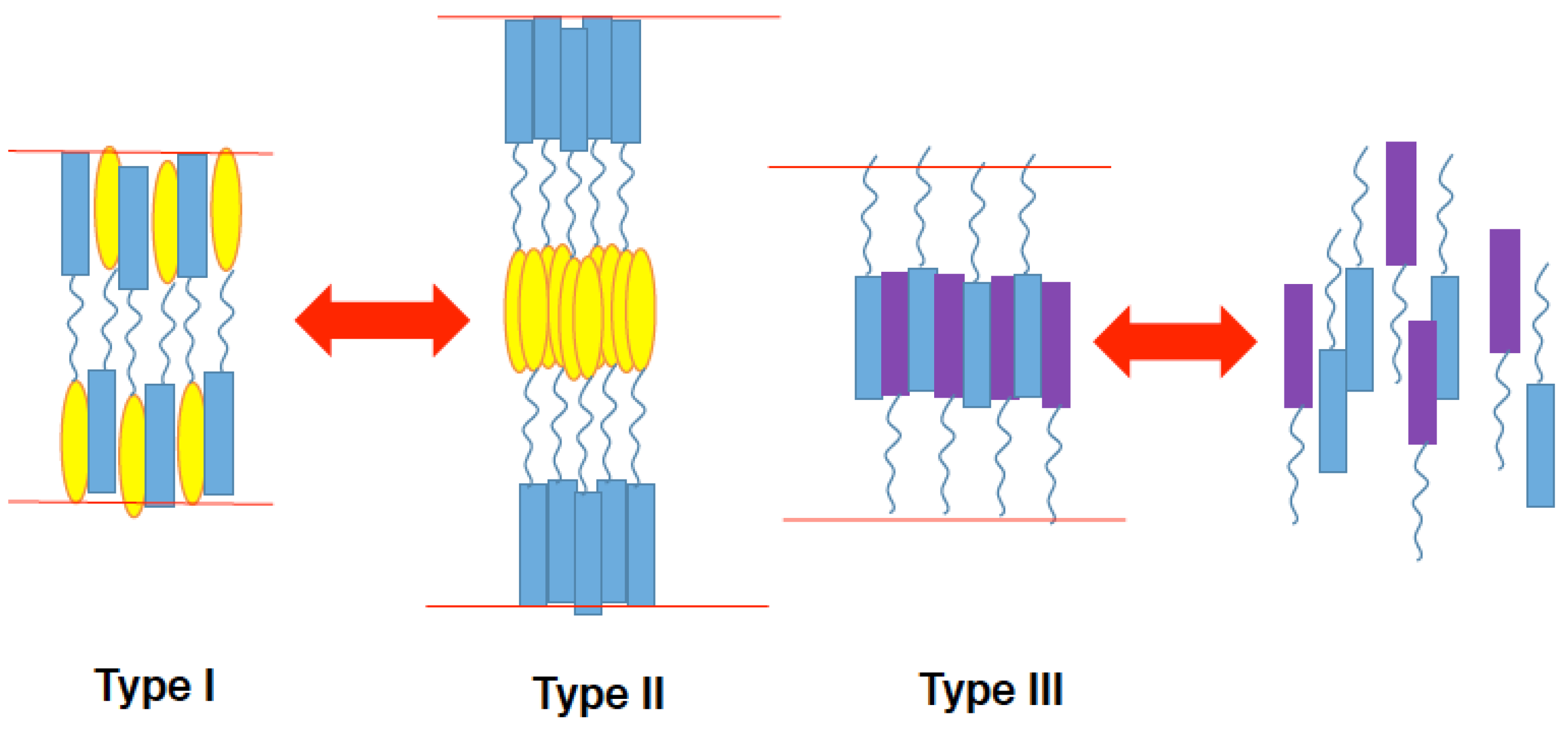 Crystals 14 00681 g021 Crystals 14 00681 g021