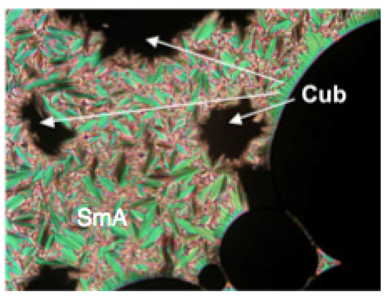 Crystals 14 00681 g031 Crystals 14 00681 g031