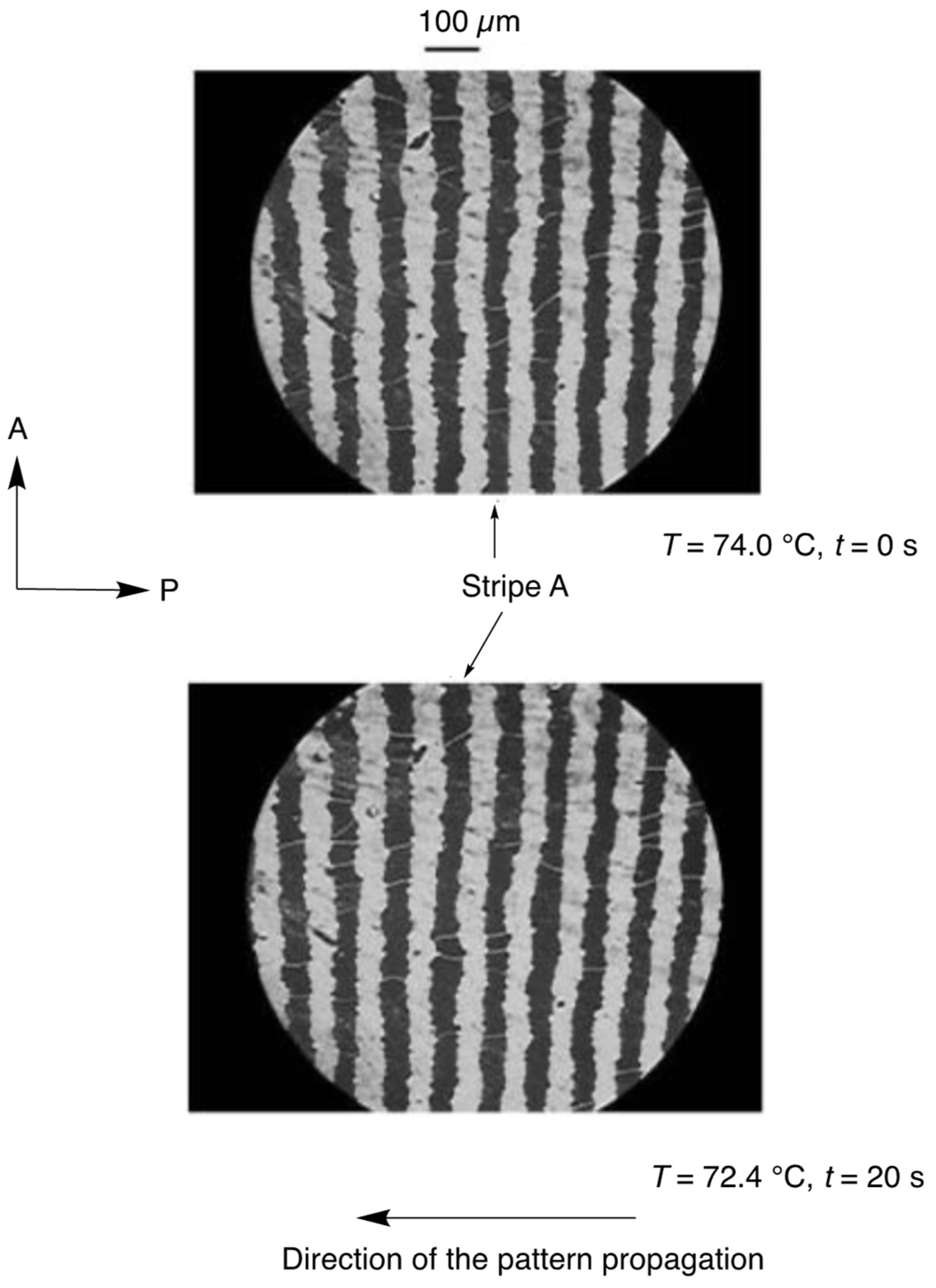 Crystals 14 00681 g036 Crystals 14 00681 g036
