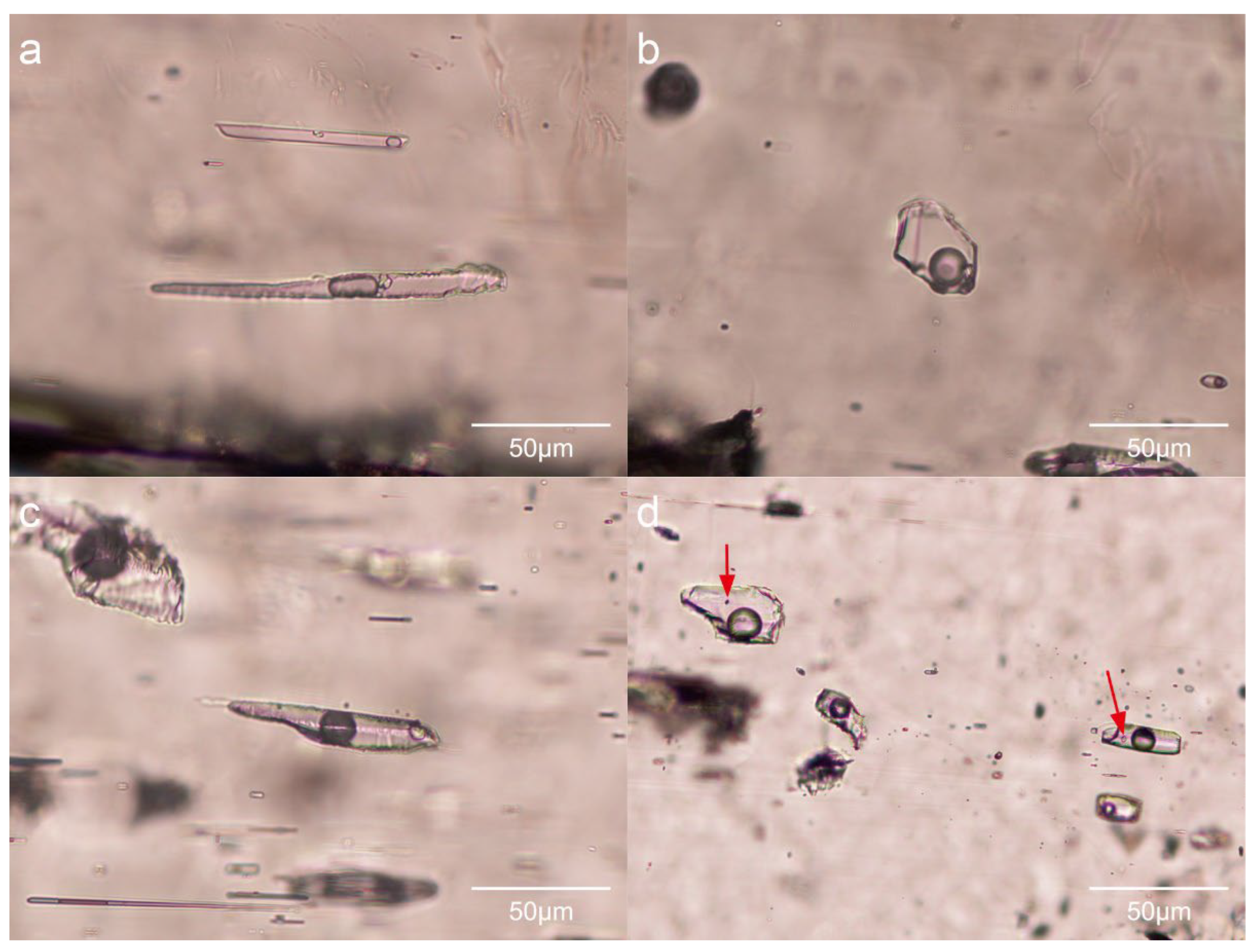 Crystals 14 00683 g003