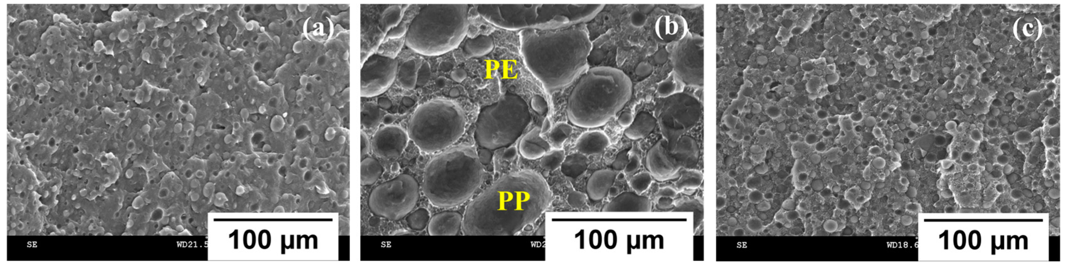 Crystals 14 00687 g002