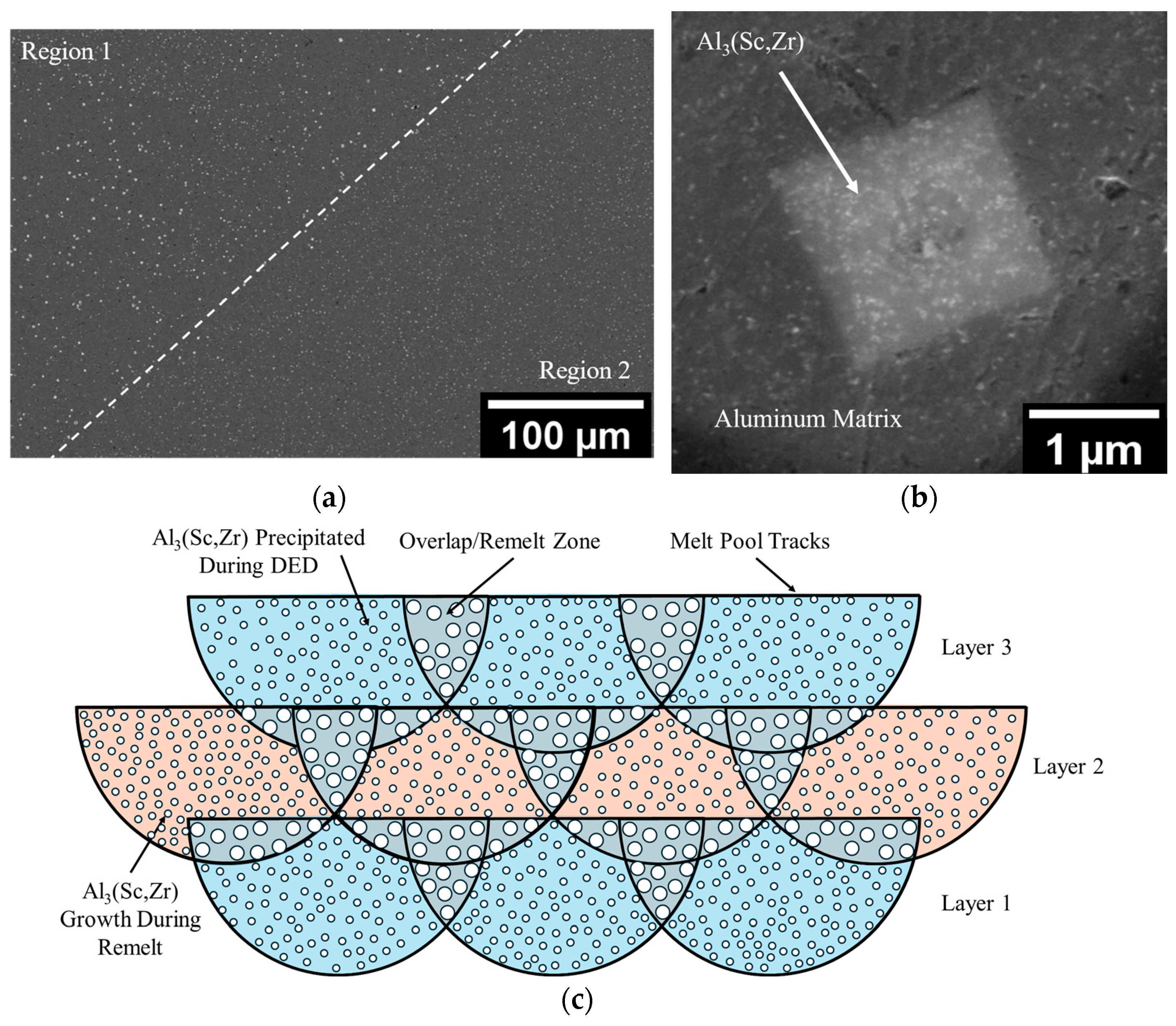Crystals 14 00688 g005