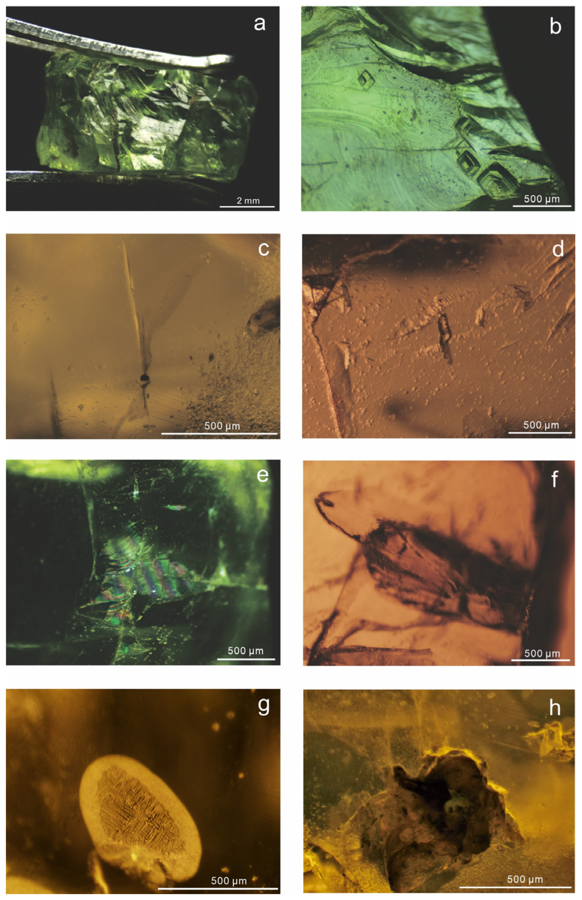 Crystals 14 00689 g003 Crystals 14 00689 g003