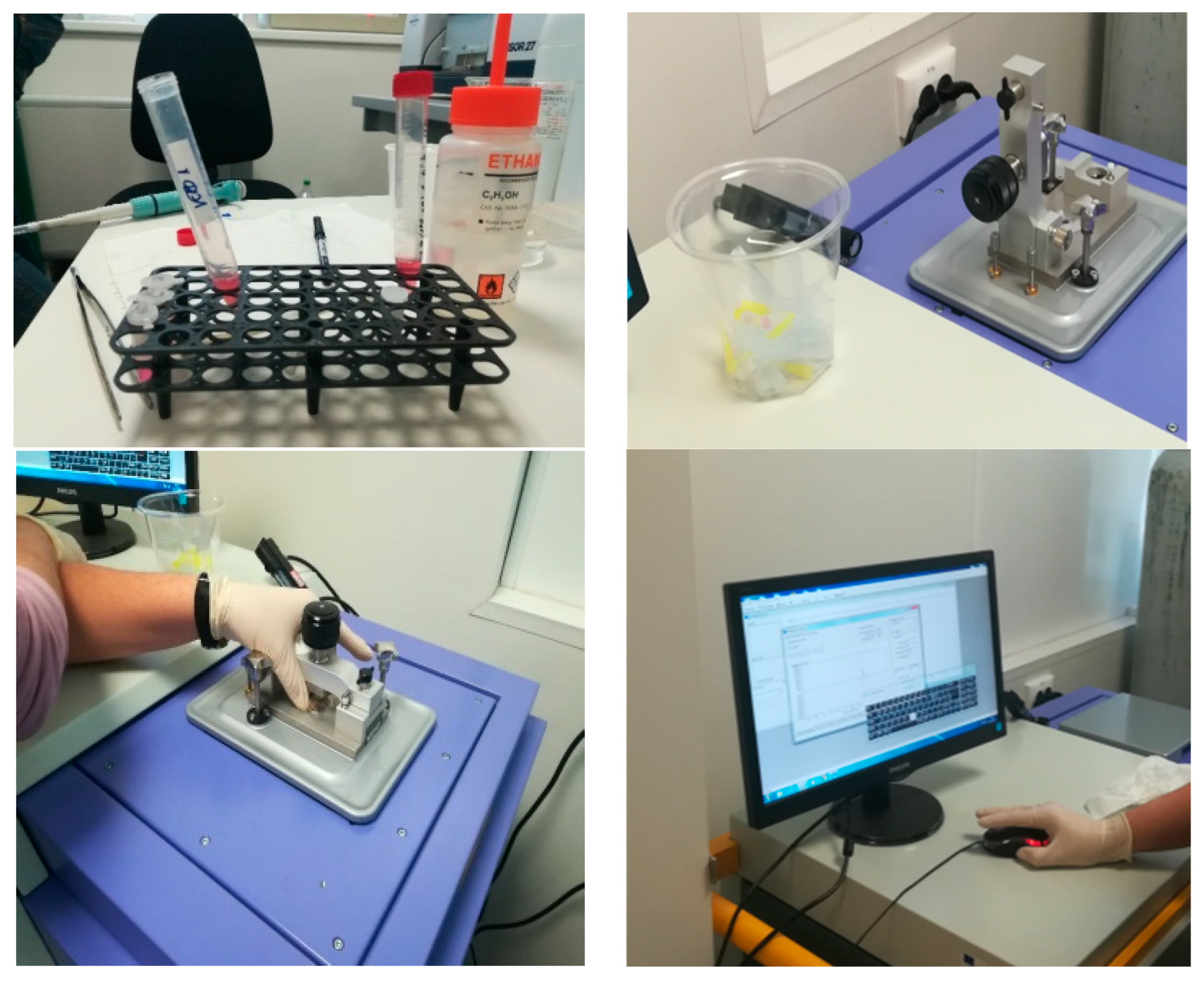 Crystals 14 00696 g010 Crystals 14 00696 g010