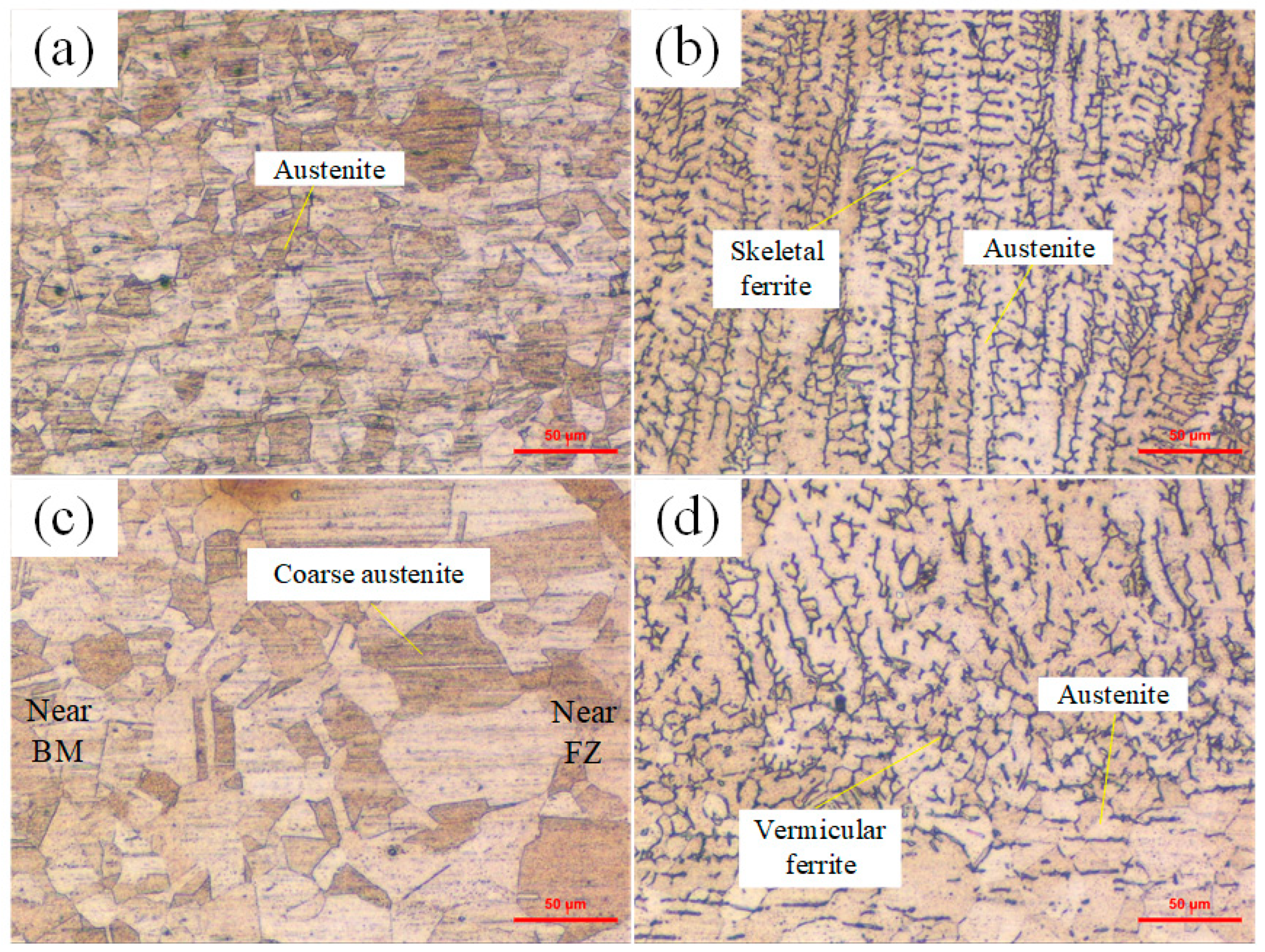 Crystals 14 00715 g012